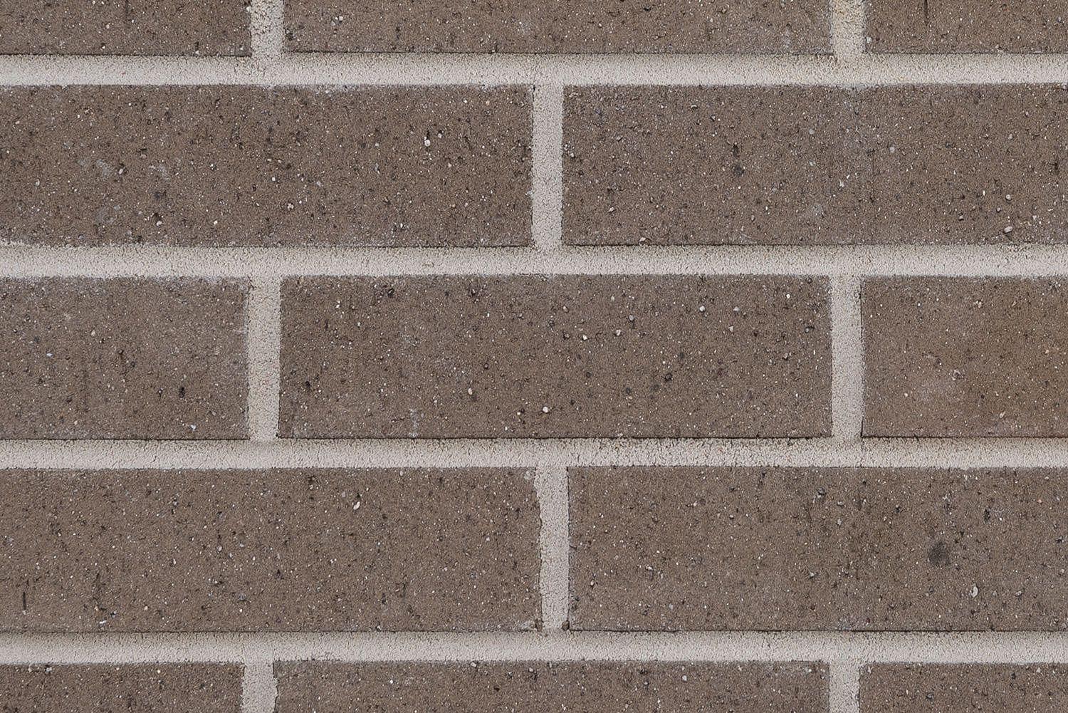 Close-up view of a brick wall with gray bricks and white mortar.
