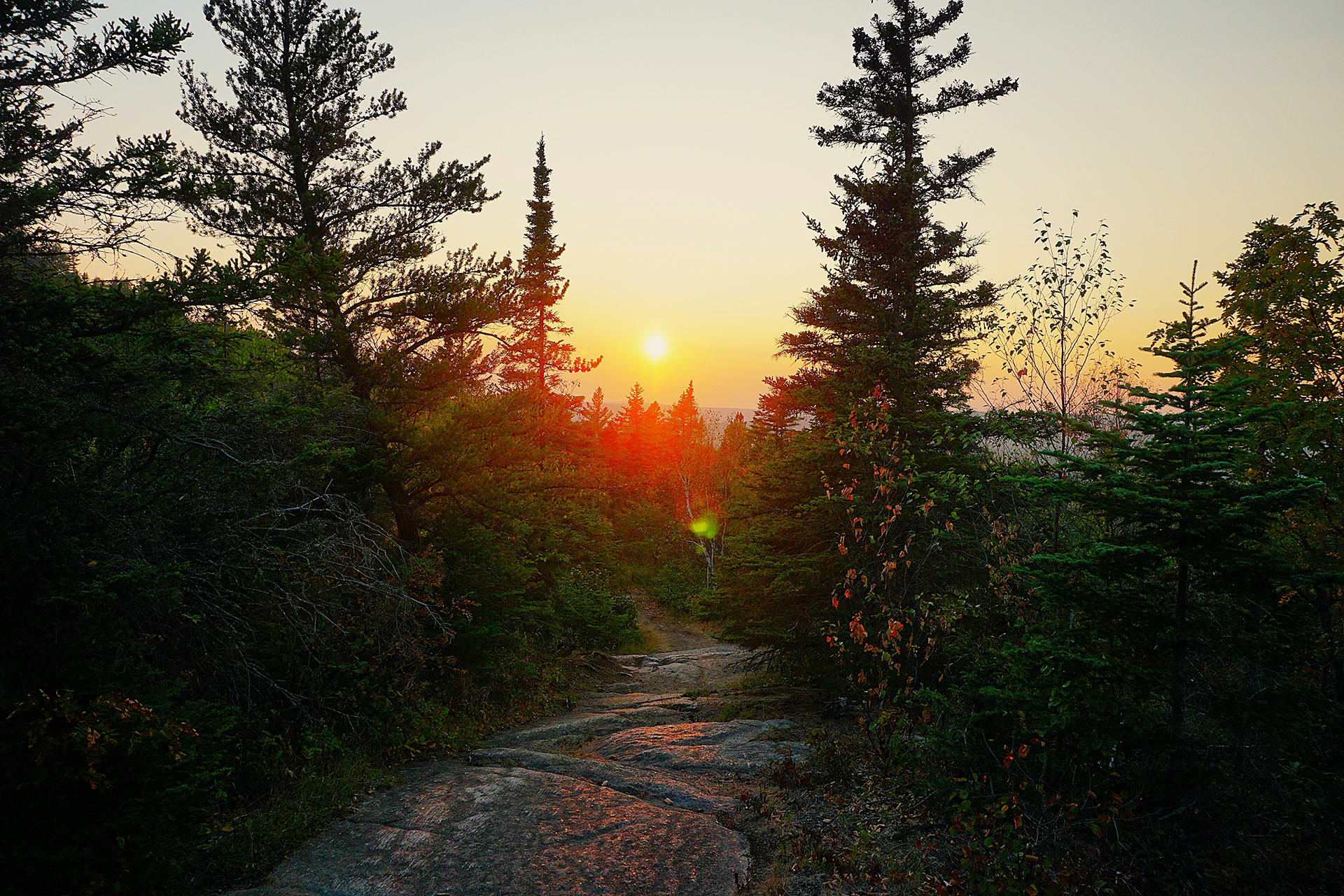 Pathway through forest at sunset; sun glows orange, trees in silhouette.