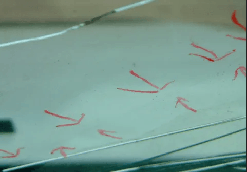 A close up of a  long crack repair after a rollover crash with red arrows on it