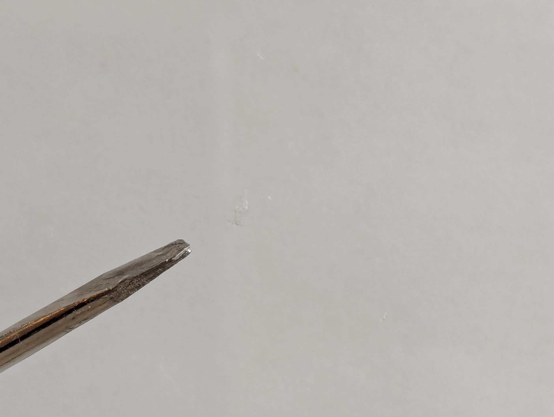 After phot of a chip repair with Ultra Bond's Crystal Quartz resin