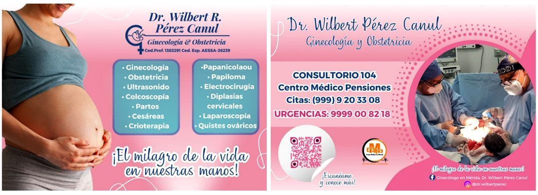 DR. WILBERT R. PÉREZ CANUL DR. WILBERT R. PÉREZ CANUL