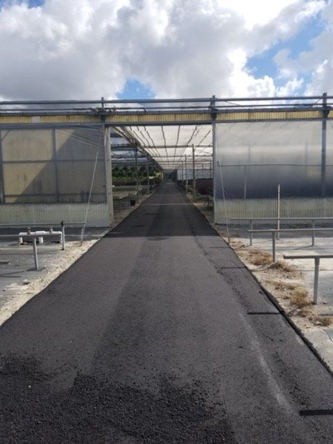 Asphalt pathway between two large greenhouses under a cloudy sky.