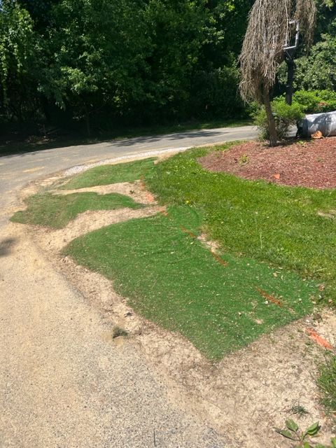 Patches of green grass next to a paved road and dry, light-colored dirt.
