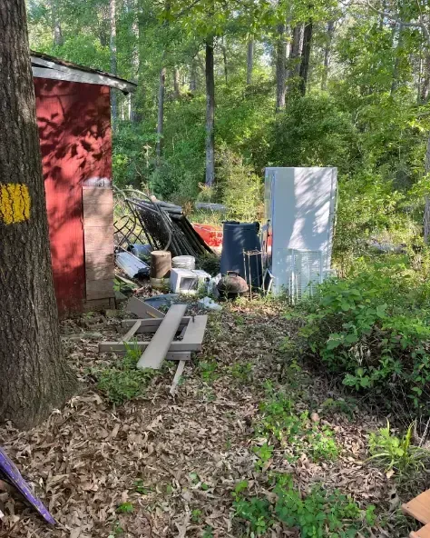 a pile of trash is sitting in the middle of a forest next to a tree .