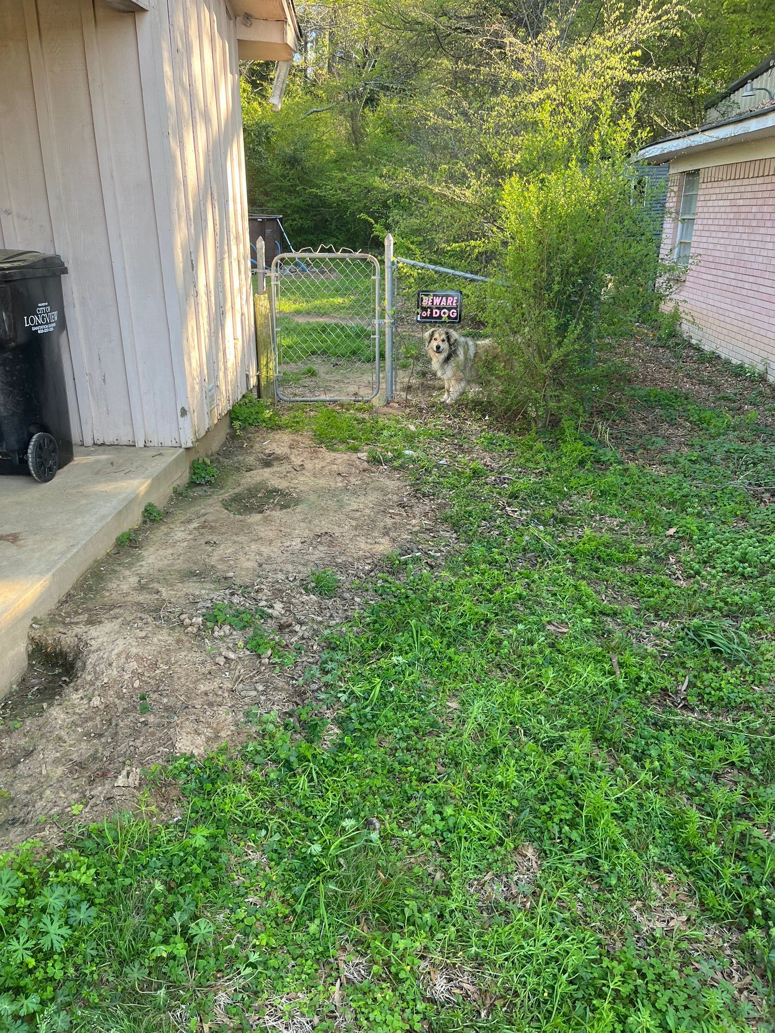 there is a trash can in the backyard next to a shed .