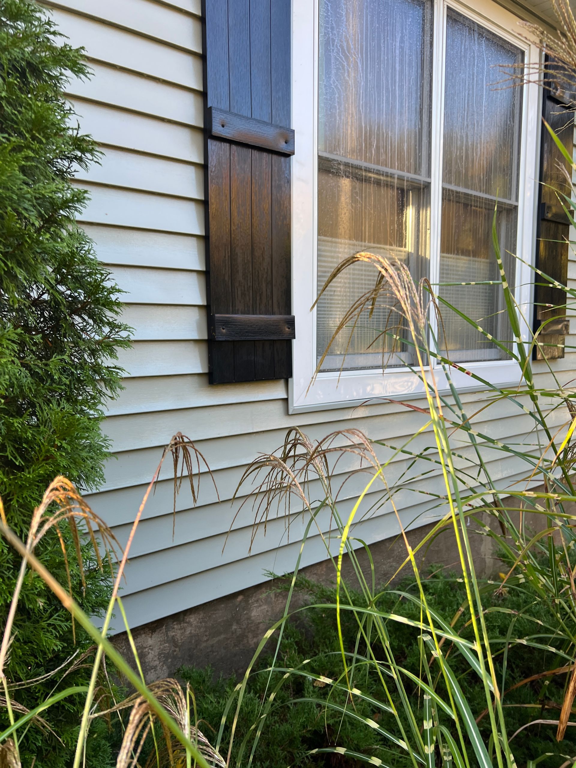 Light-colored siding with black shutters on a house, partially obscured by tall green grasses and a small evergreen bush.