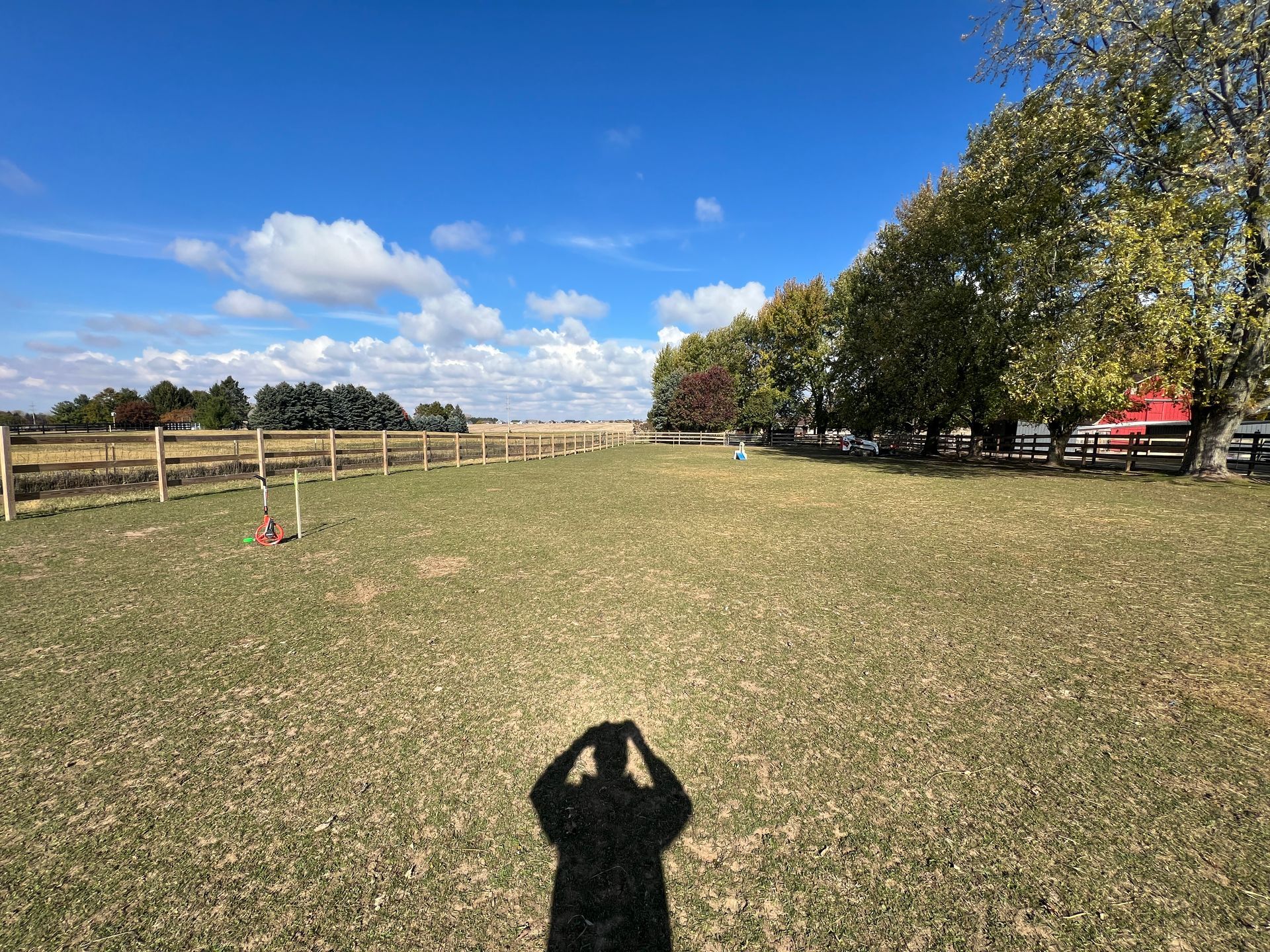 A sunny, grassy field stretches toward a distant fence and tree line, with the photographer’s shadow cast in the foreground.