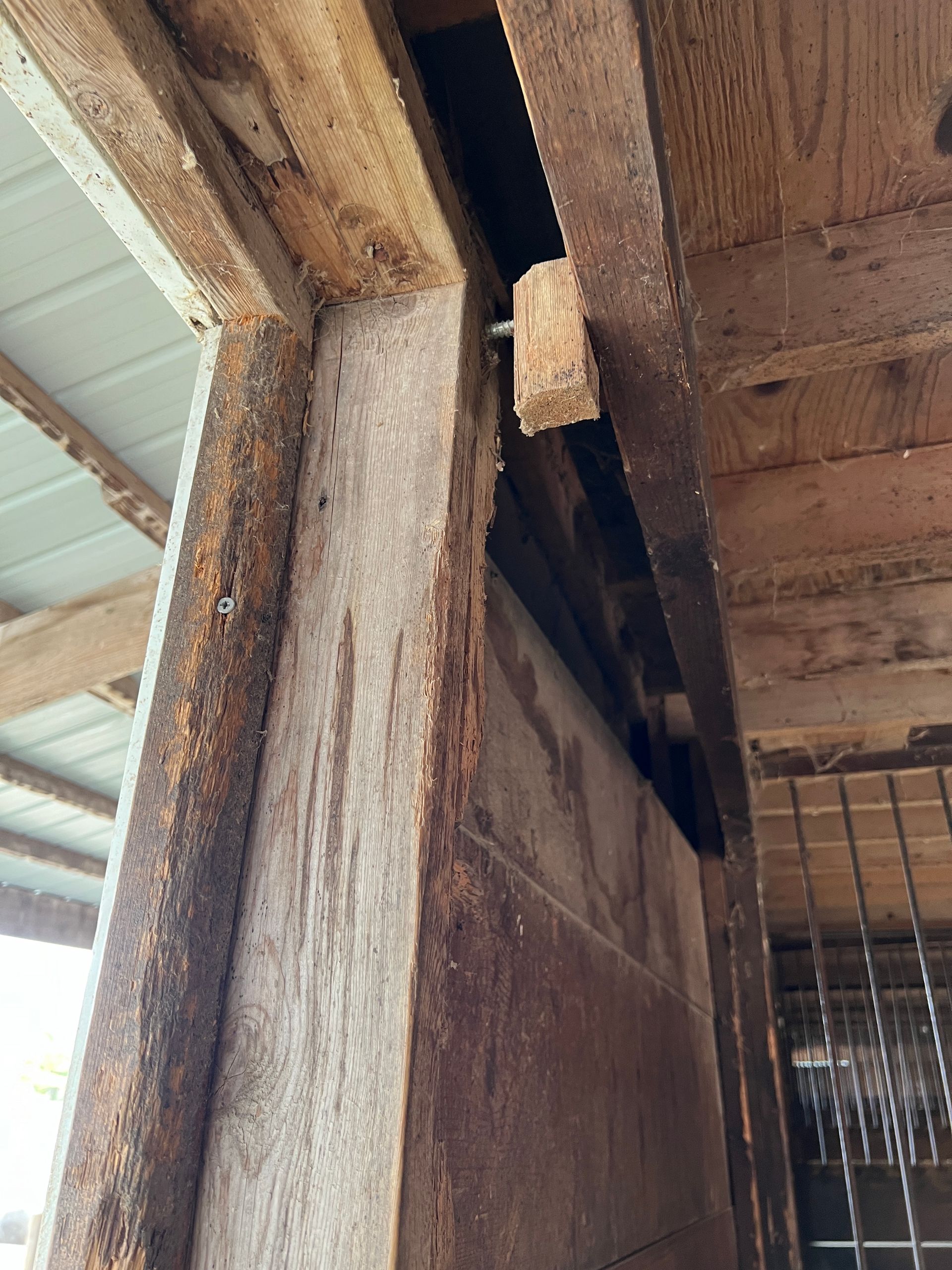 A close-up view of a damaged wooden post in a barn, showing significant wood decay and a small piece of wood hanging loose.