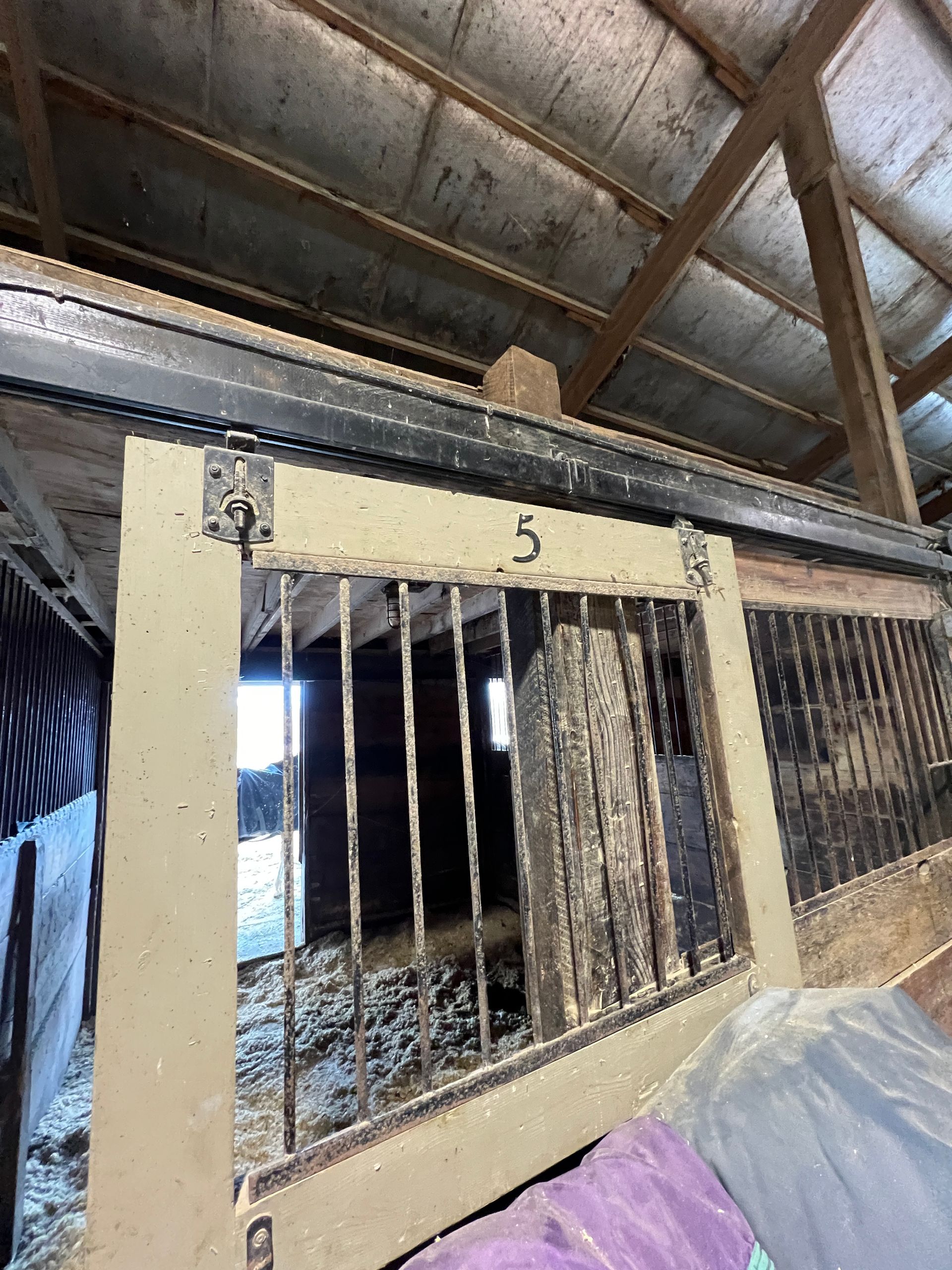 A metal stall gate with the number 5, featuring vertical bars, inside a wooden horse barn.