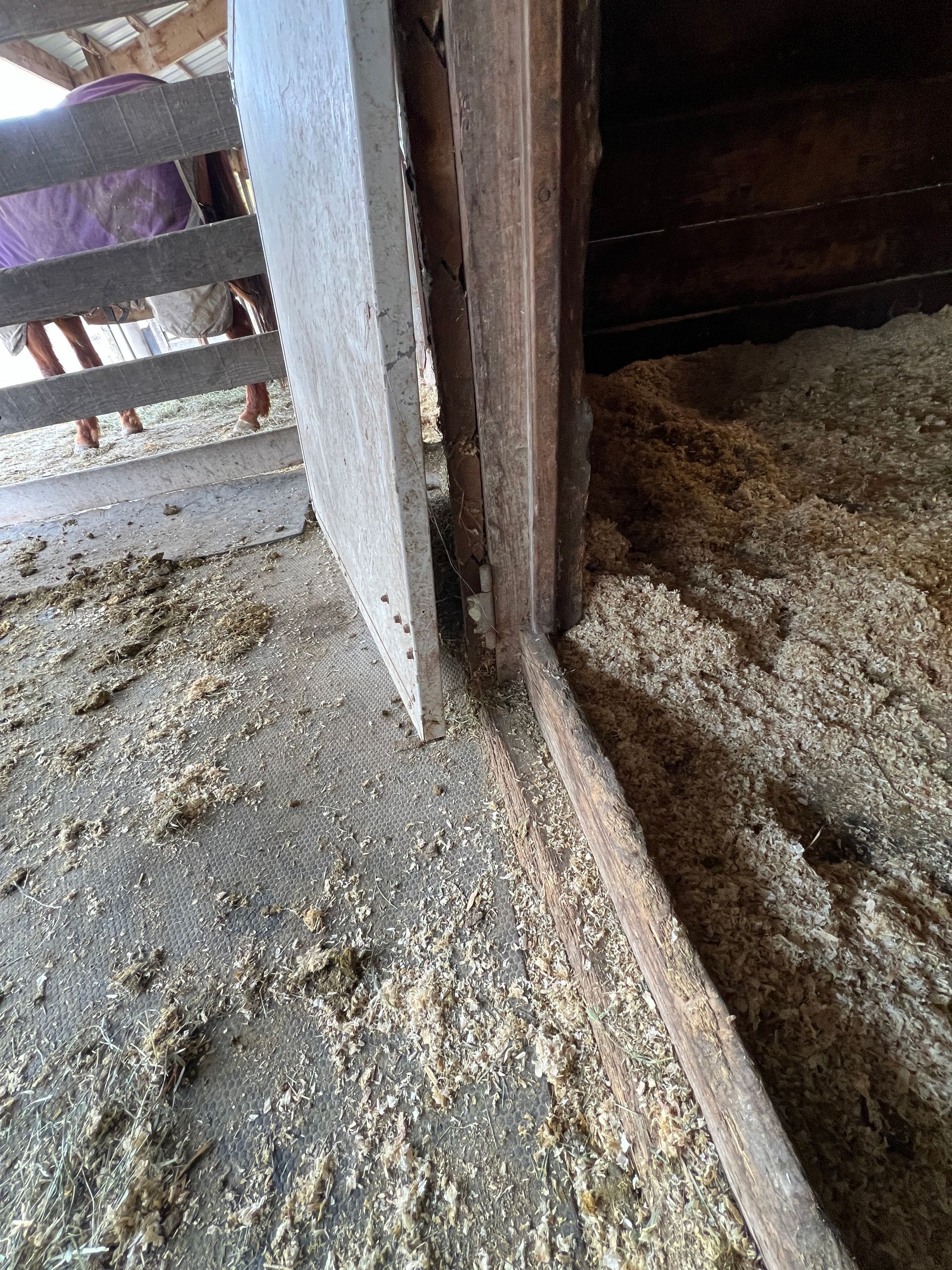 View of a barn stall entrance with a wooden frame and threshold on a concrete floor covered with wood shavings.