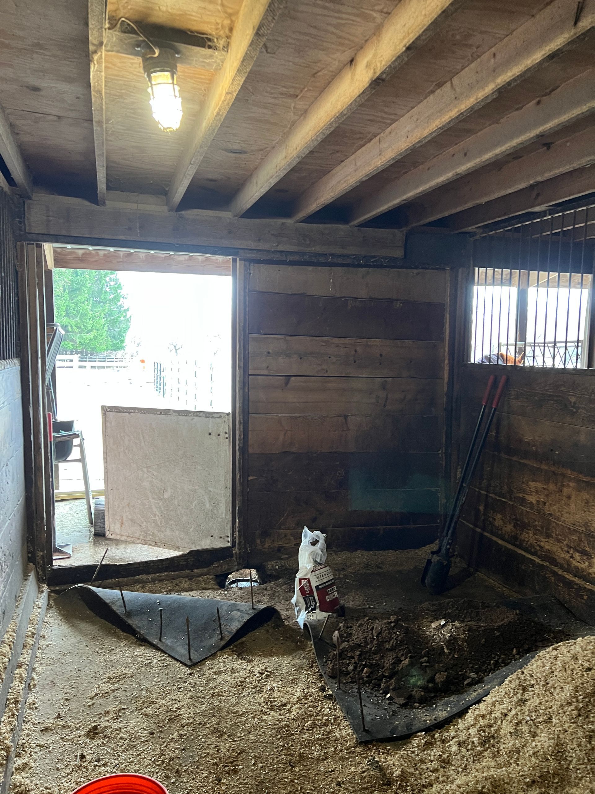 A wooden horse stall with scattered bedding, a mat on the floor, a light fixture, and an open doorway leading outside.