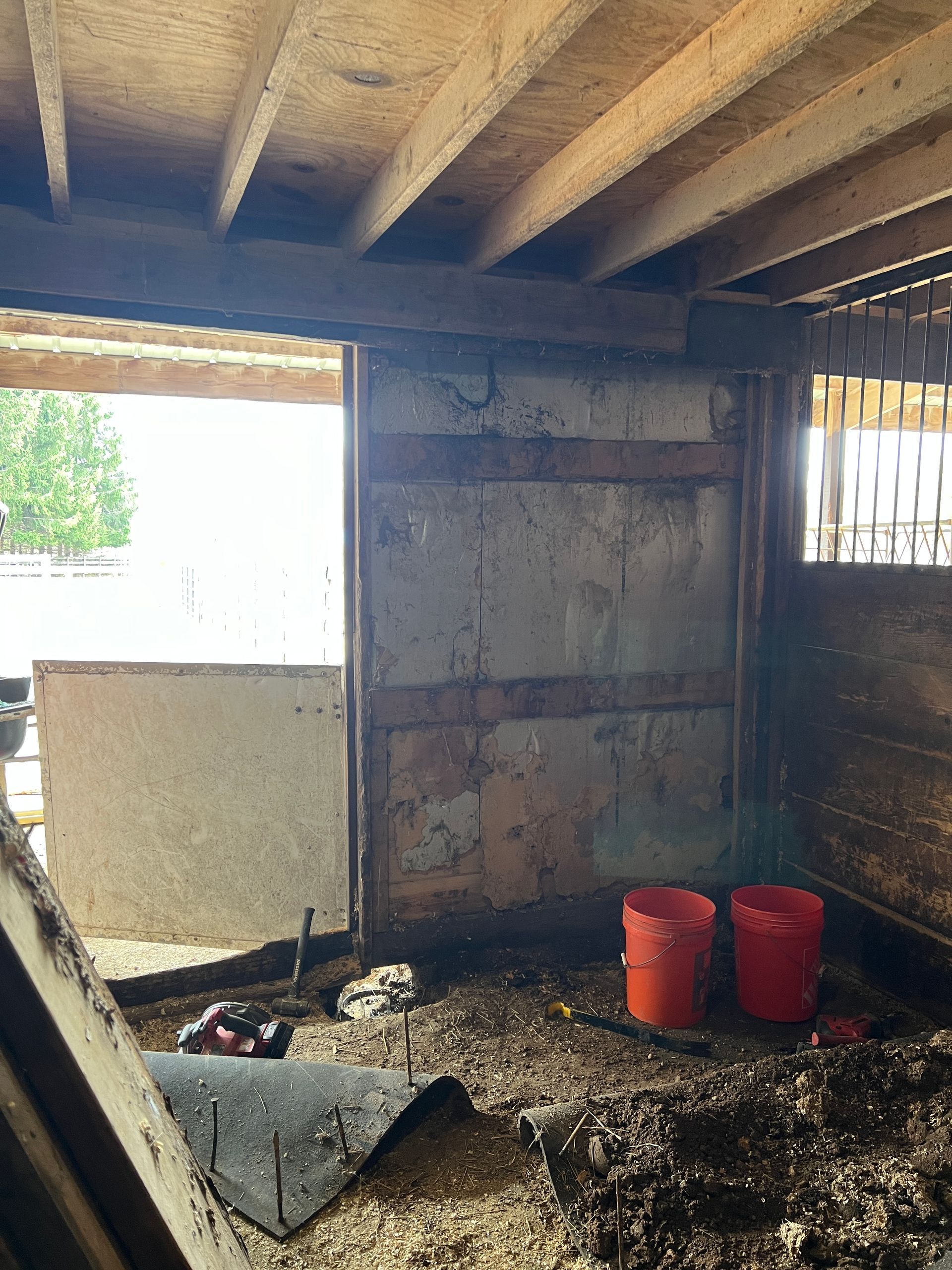 Inside a rustic stable, two orange buckets sit on a dirt floor near a half-open door leading to an outdoor area.