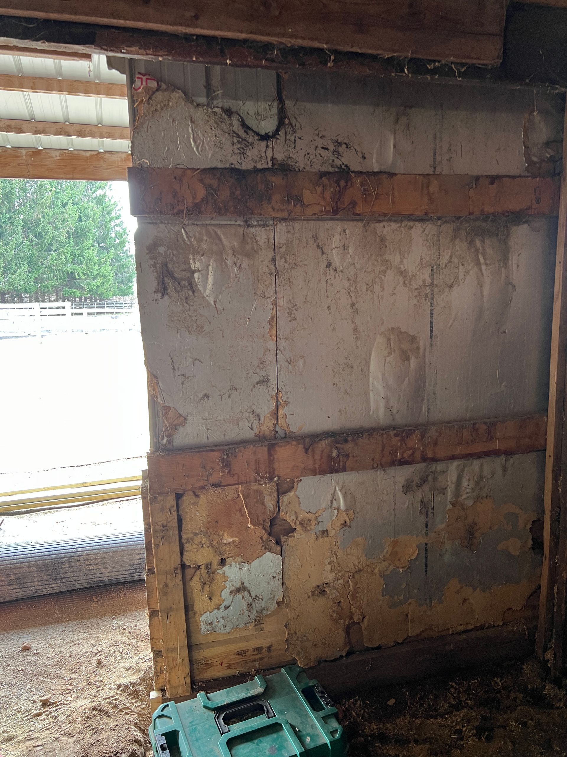 An interior view of a barn wall with damaged concrete panels held by horizontal wooden framing.