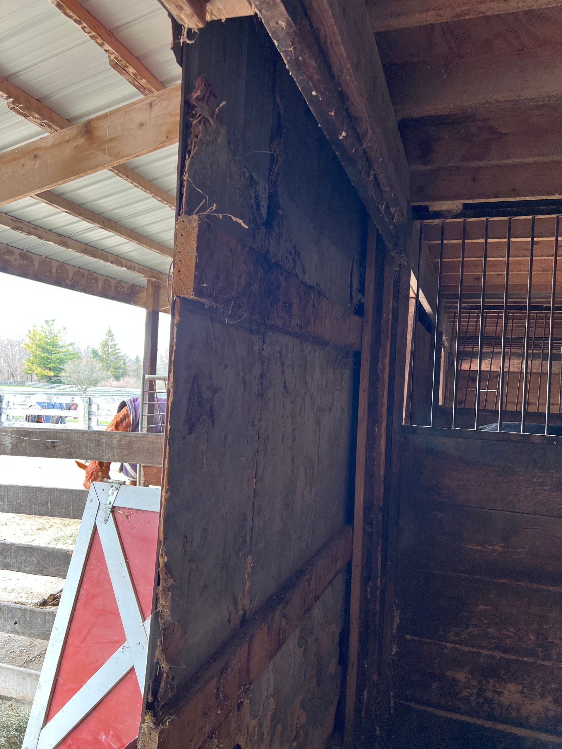 A close-up view of a worn, wooden stall partition in a horse barn with a partial red gate visible in the background.