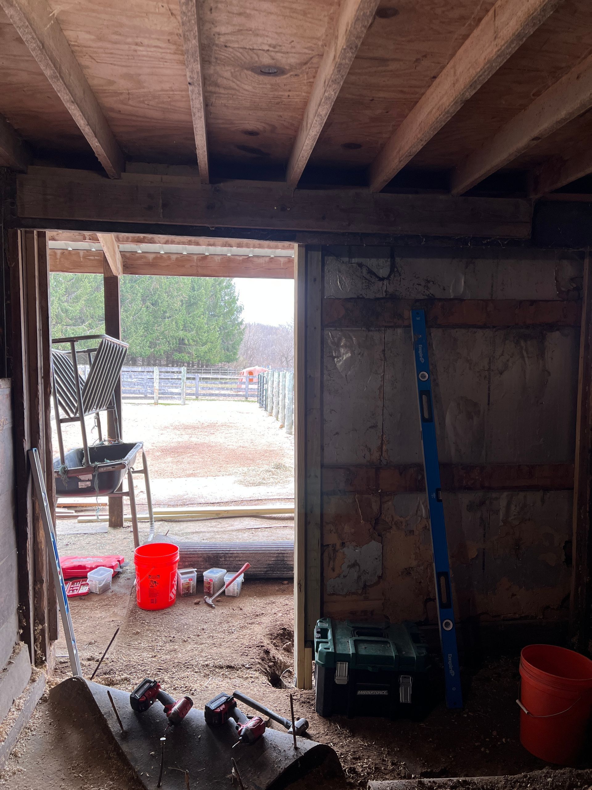 A view from inside a rustic shed looking out at a yard, with scattered construction tools and a level leaning on a wall.