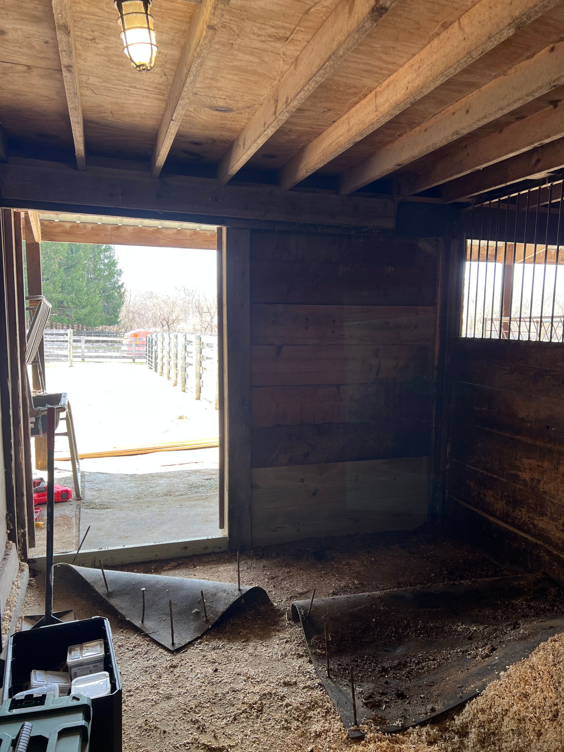 Interior of a rustic wooden stall with a dirt floor, wood shavings, and an open doorway looking out to a fenced paddock.