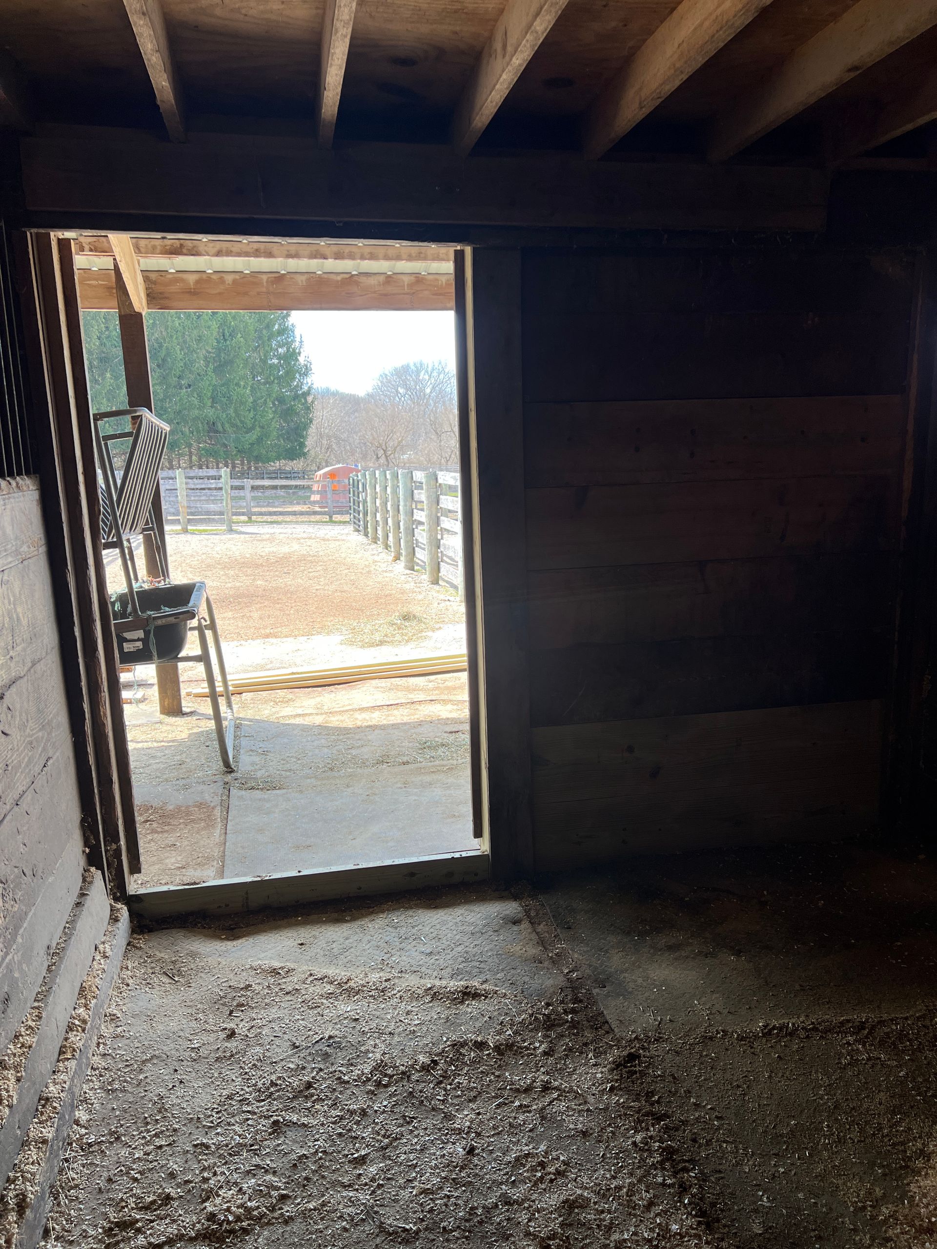 A view from inside a dark wooden barn looking out an open doorway onto a sunny outdoor paddock with wooden fencing.