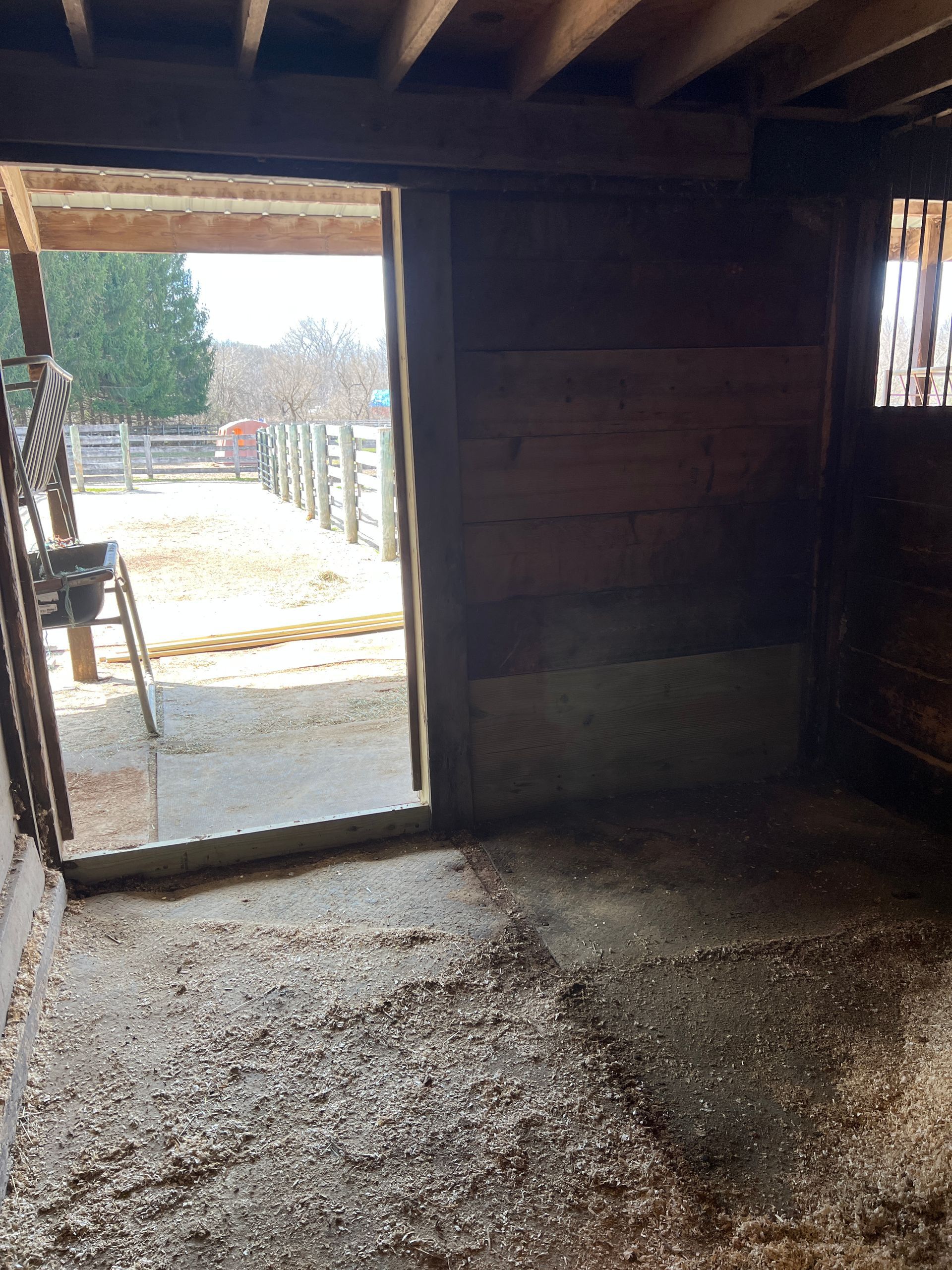 A view from inside a stable looking out a doorway toward a fenced-in outdoor area with scattered wood shavings on the floor.