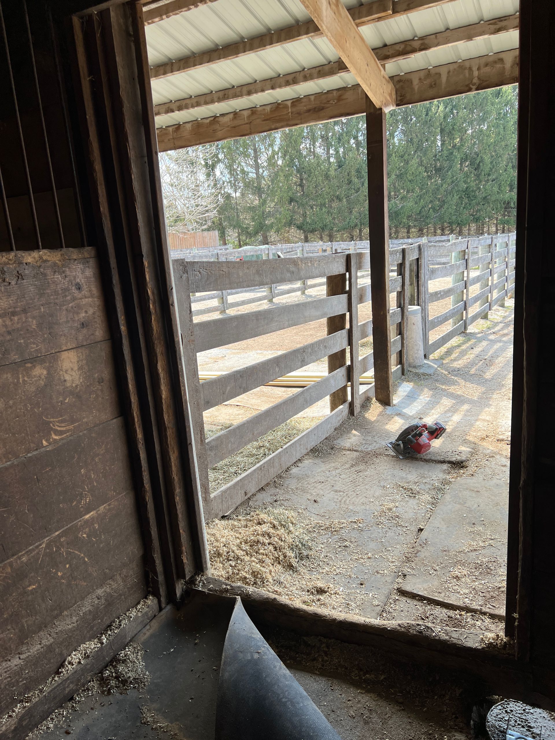 A view from inside a stable looking out at a wooden fence, a dirt path covered in wood shavings, and a small red engine.