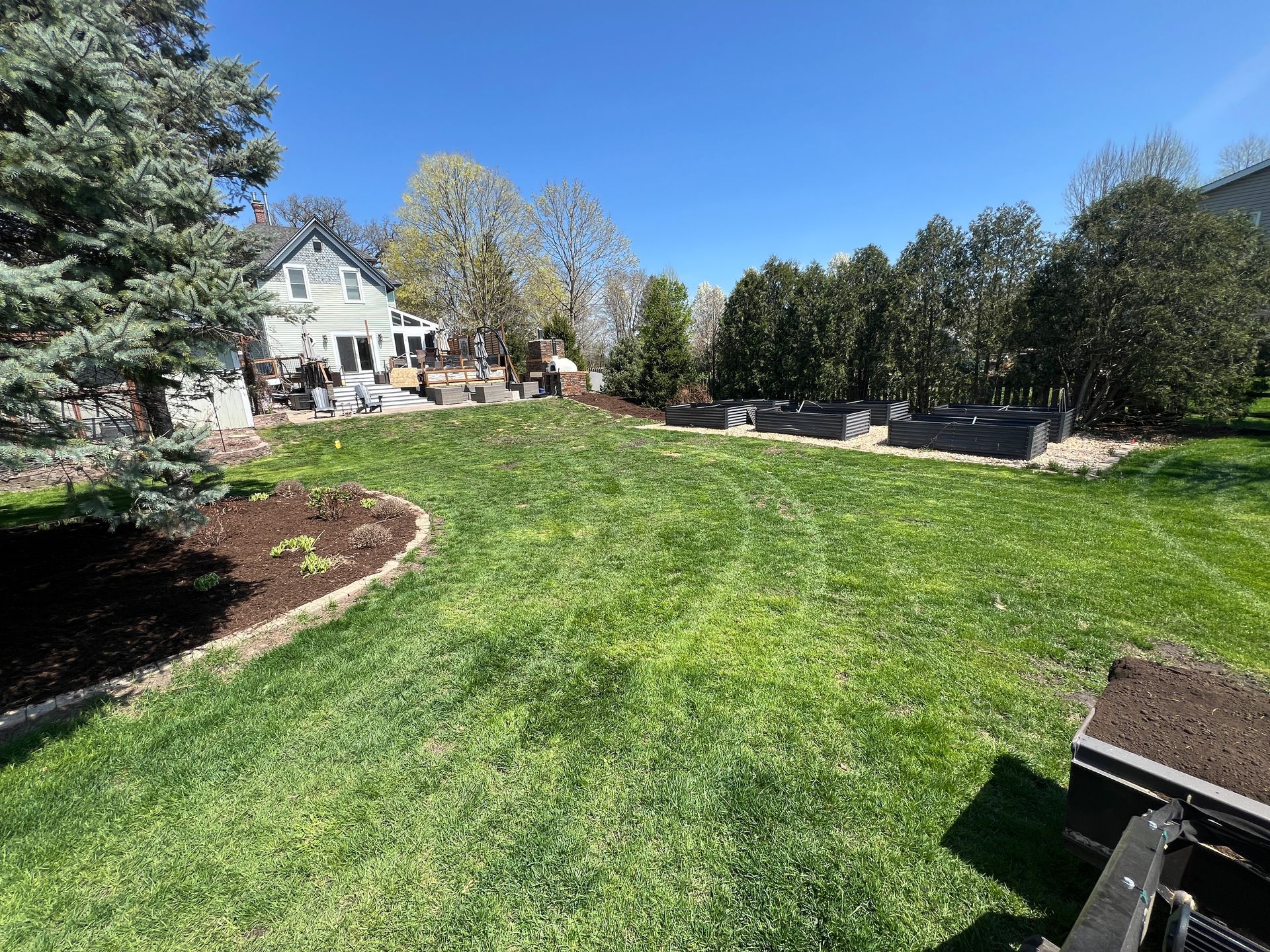 A sunny backyard features a green lawn, garden beds, and a white house in the background.