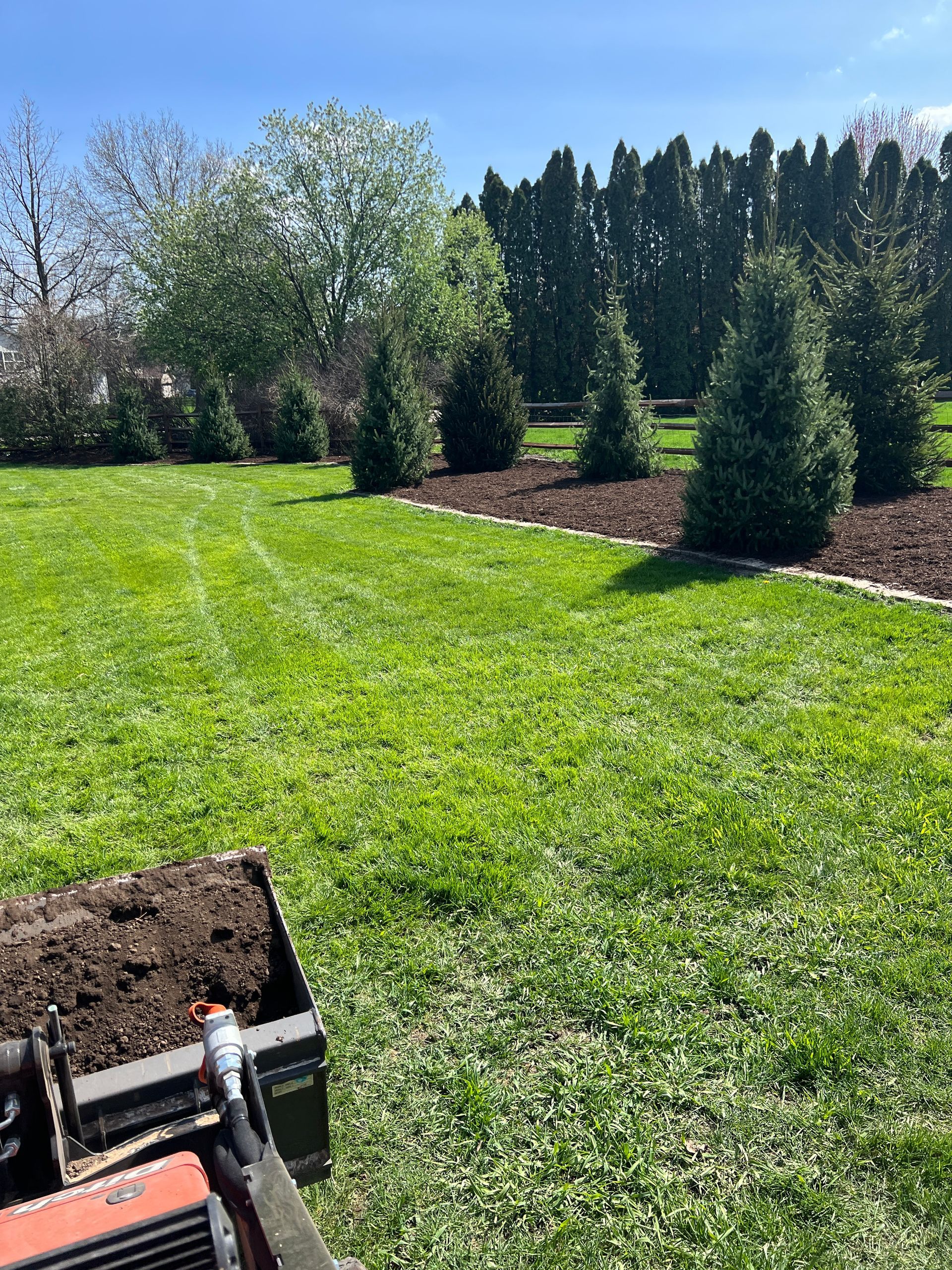 A loader bucket filled with mulch sits on a grassy lawn near a row of evergreen trees and a garden bed.