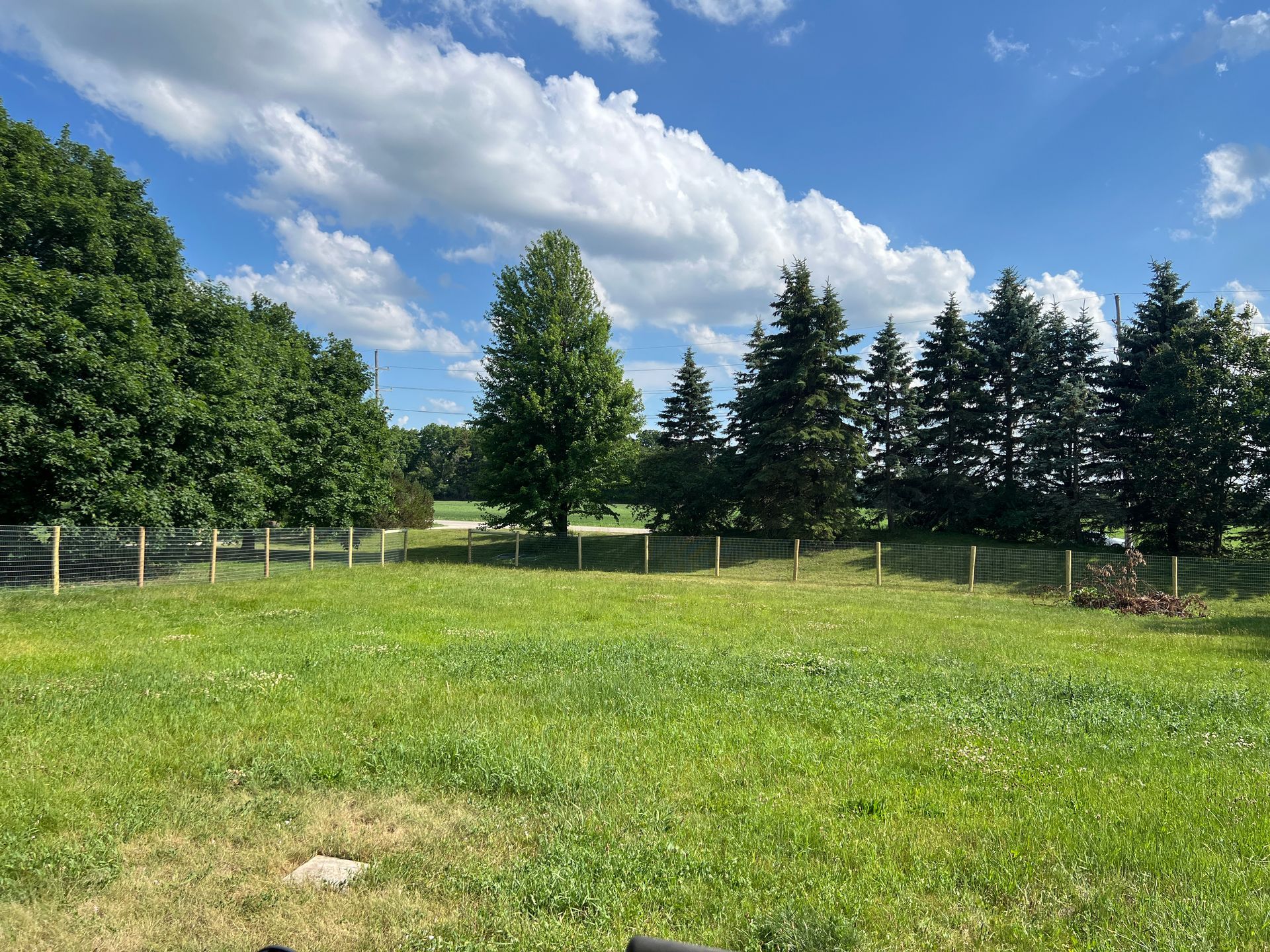 A grassy field leads to a line of trees under a bright blue sky with scattered white clouds.