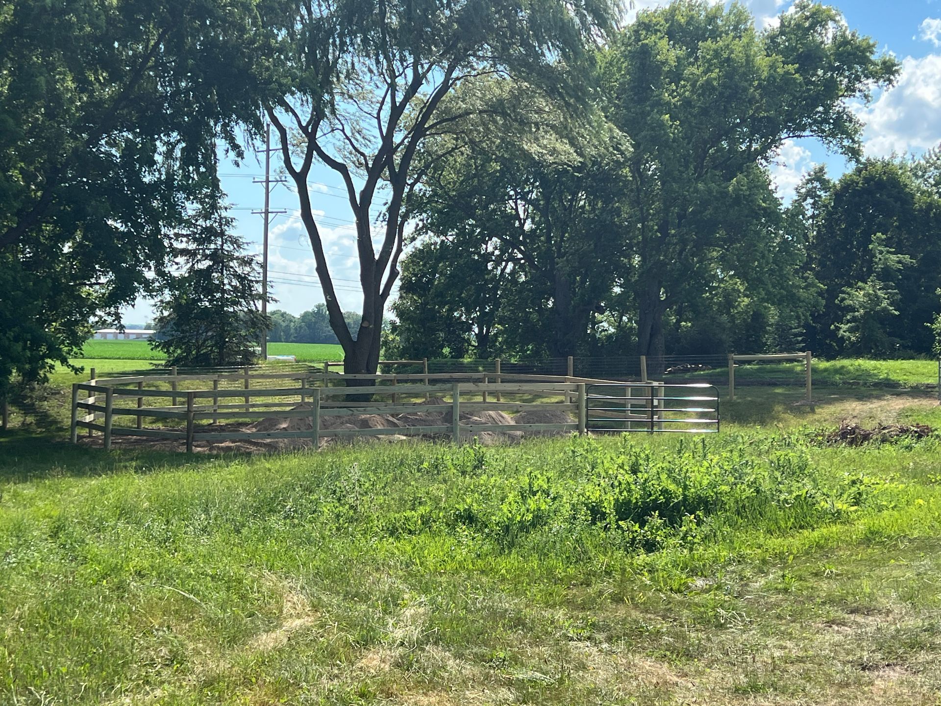 A wooden fence encloses a shaded area with trees and ground cover in a grassy field under a bright, sunny sky.