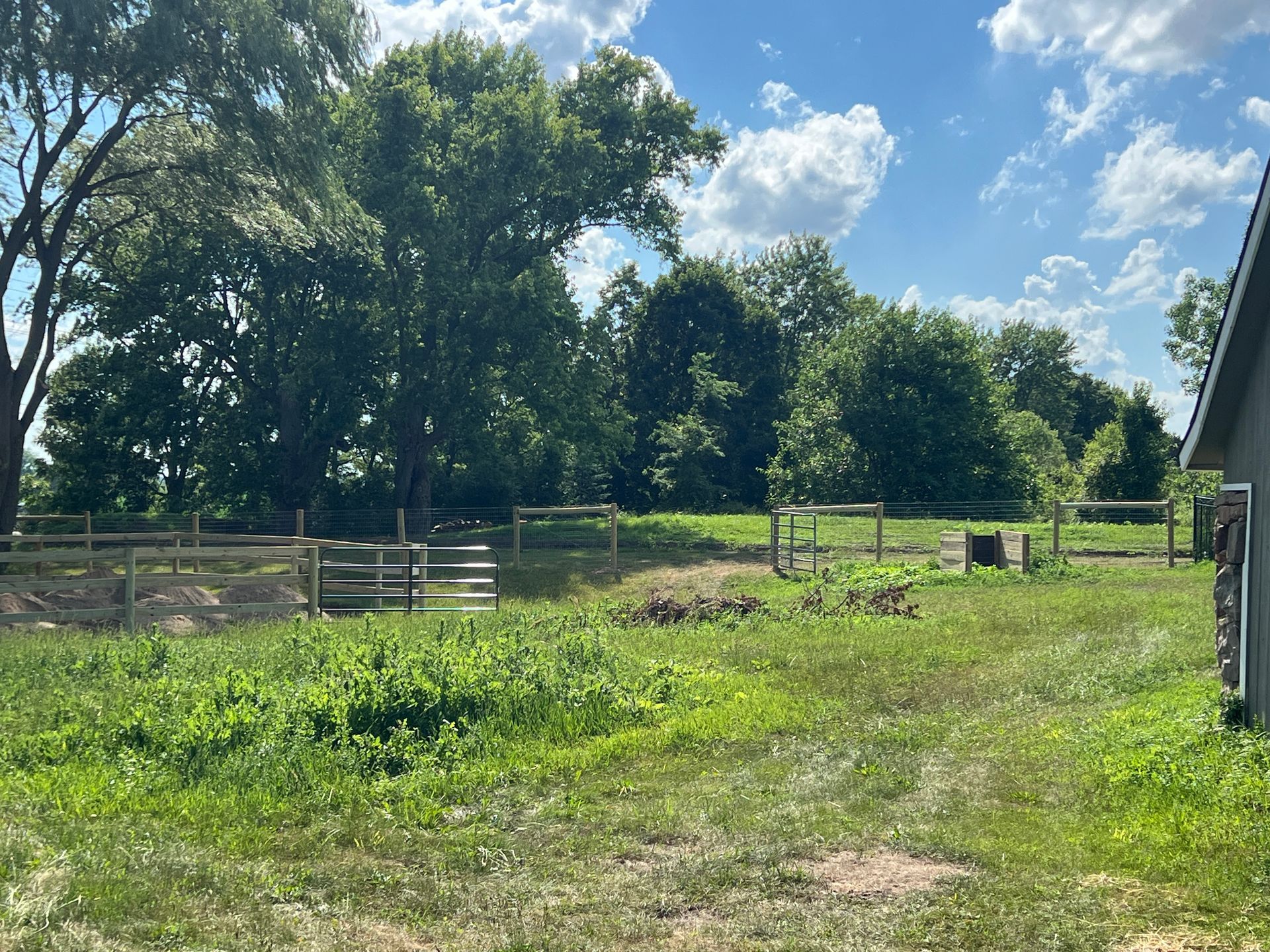 A fenced-in grassy field with tall trees under a bright blue sky with clouds.