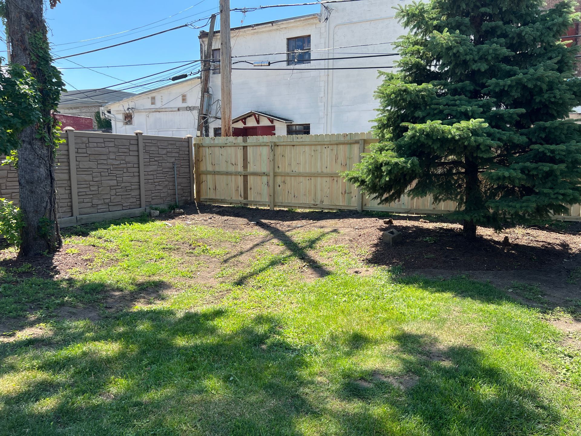 A grassy backyard with a tall, light-wood fence next to a textured brown wall, featuring a large pine tree on the right.
