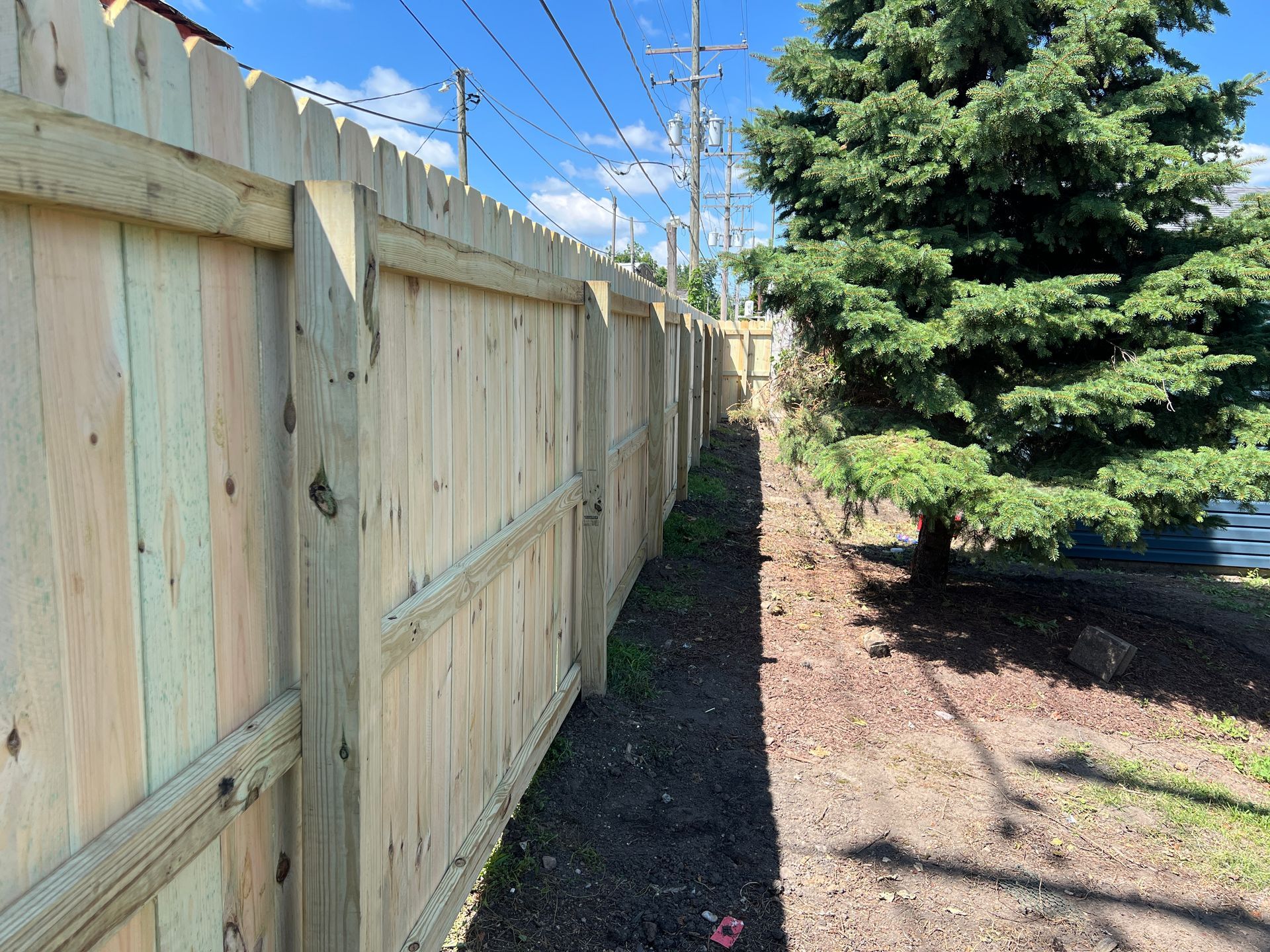 A new, light-colored wooden privacy fence stretches along a landscaped backyard edge next to an evergreen tree.