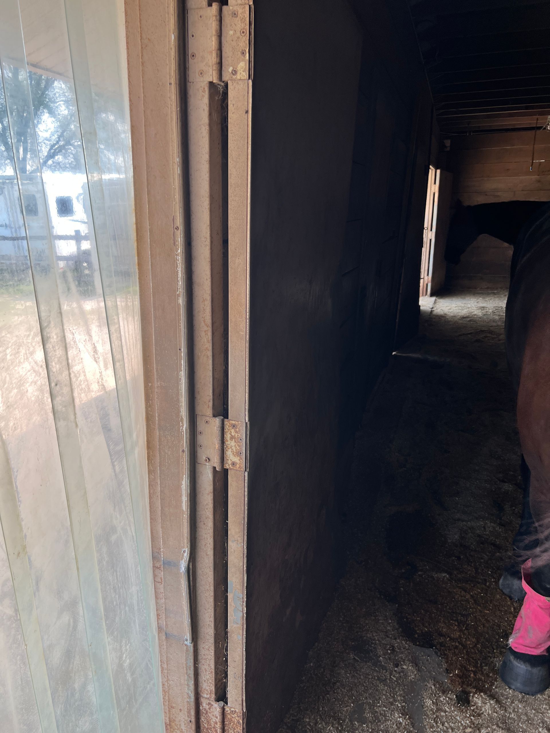 A horse wearing pink leg wraps stands inside a dark, shadowed wooden stall.