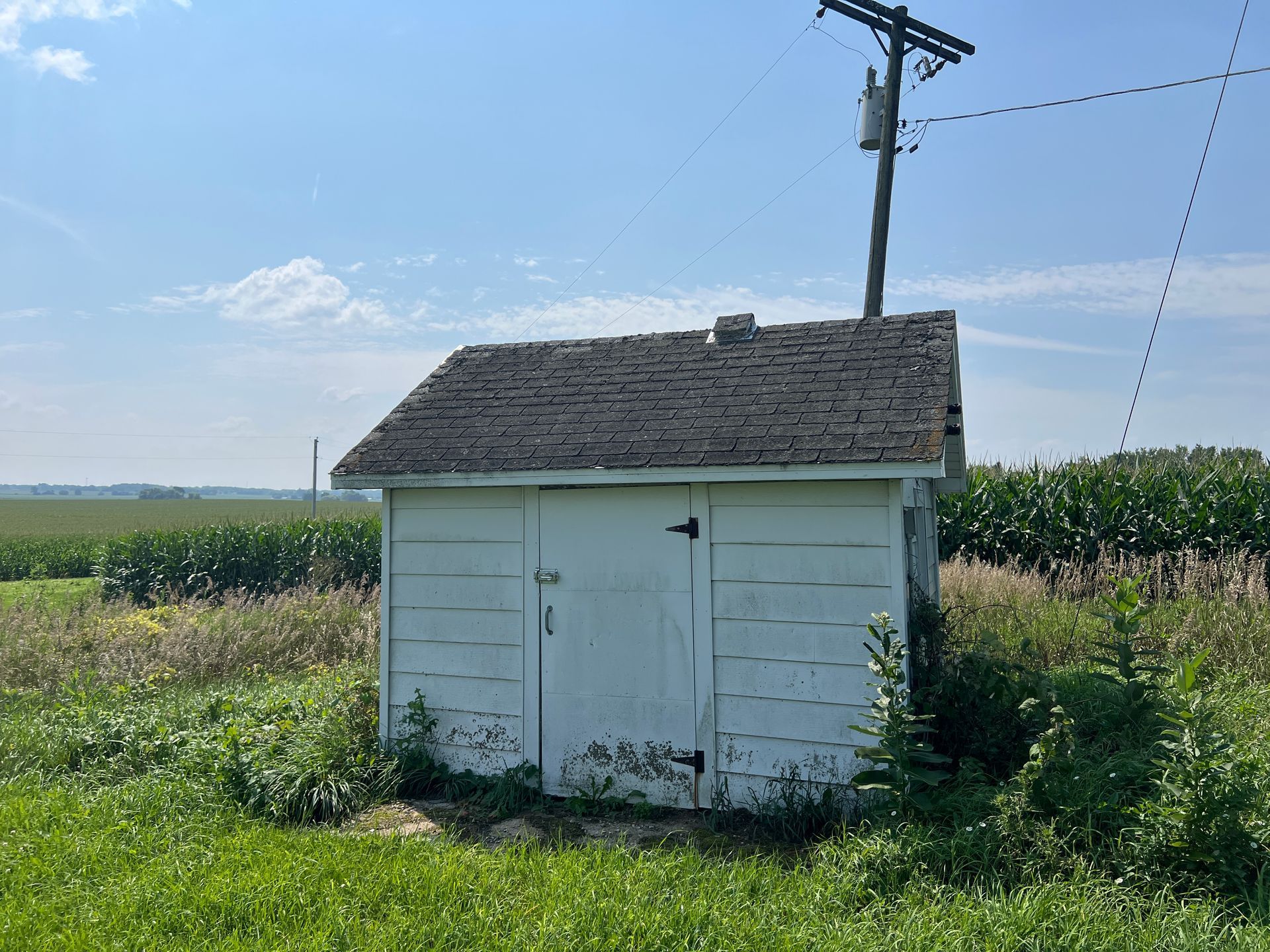 A small white shed with a weathered dark shingle roof stands in a grassy field next to a utility pole and cornfield.