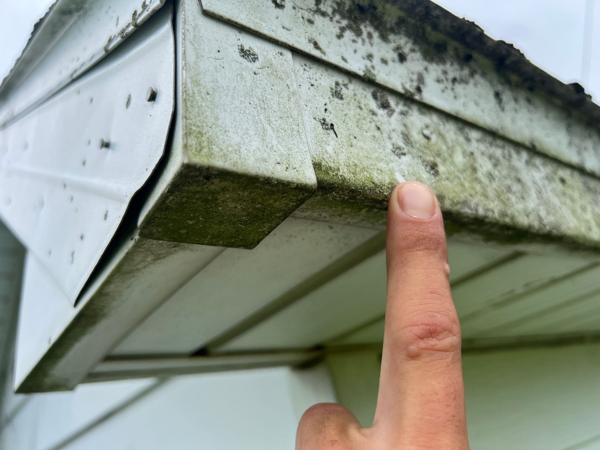 A person’s finger points at green mold growth on the white metal fascia and soffit trim of a home’s roofline.