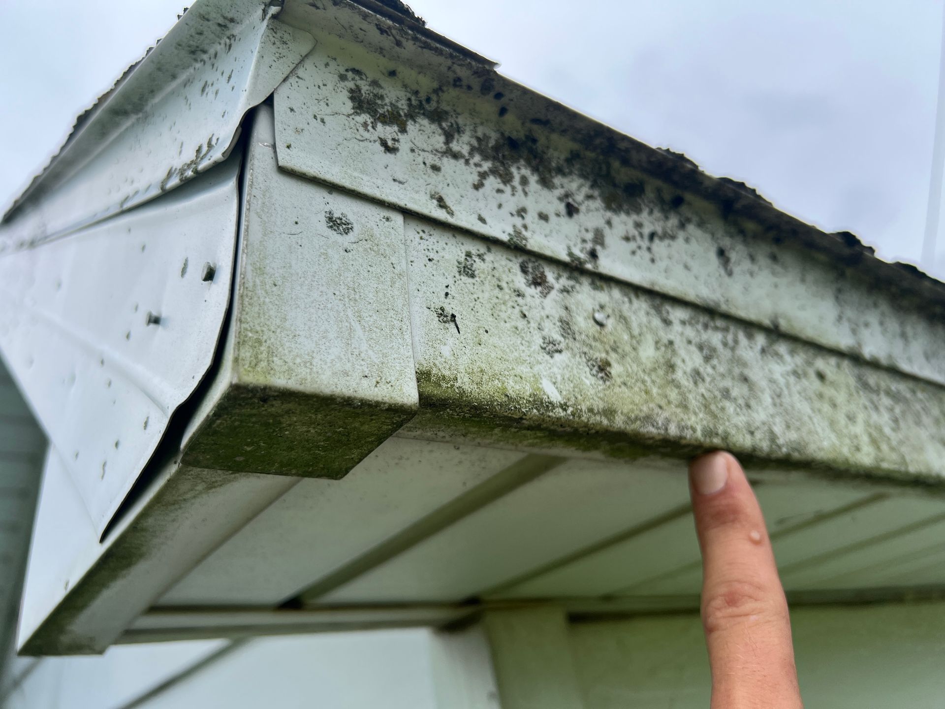 A finger points to dirt and moss buildup on the underside of a metal roof eave and fascia.