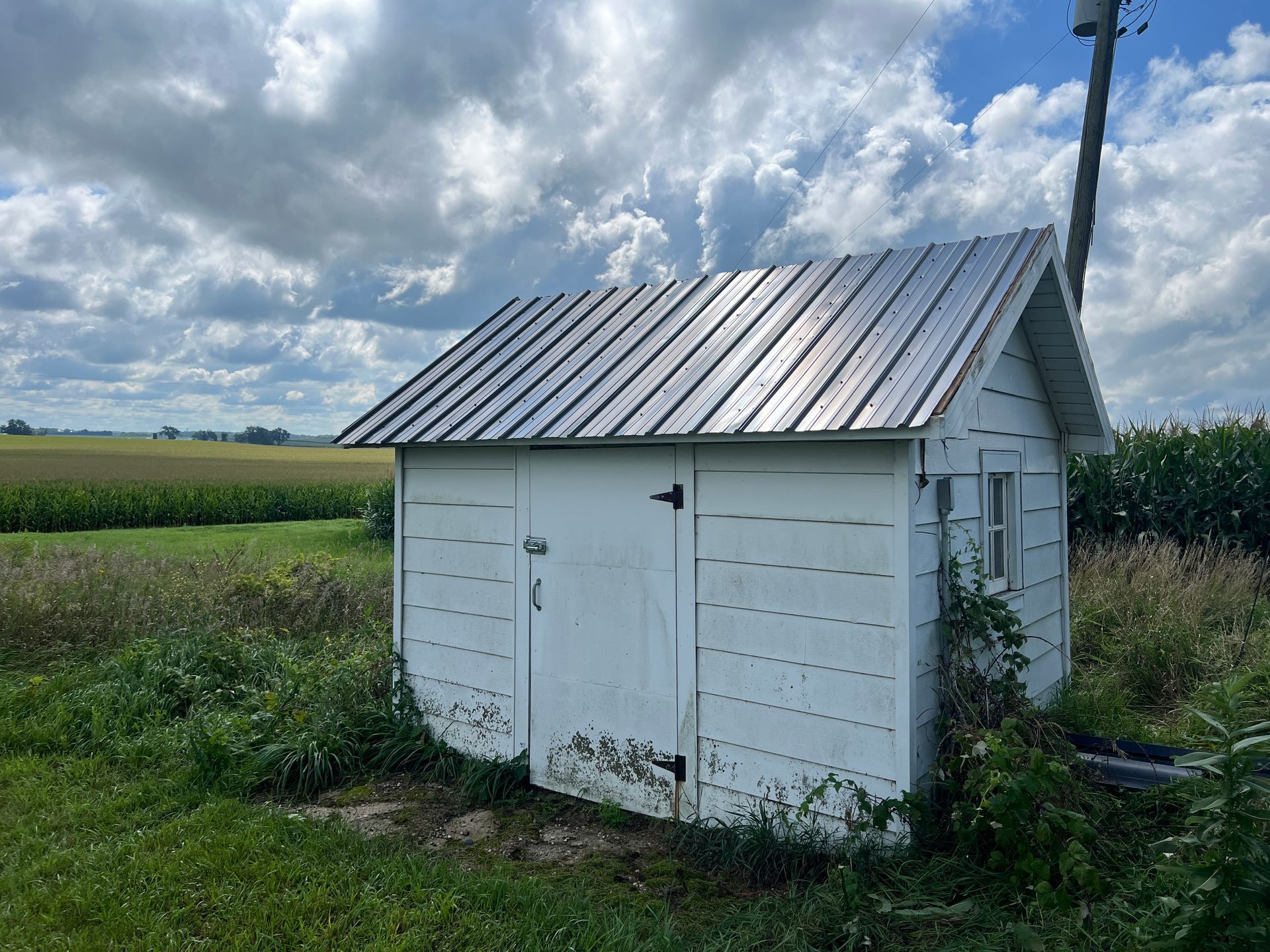 A small, white, weathered shed with a metal roof stands in a field next to a cornfield under a cloudy sky.