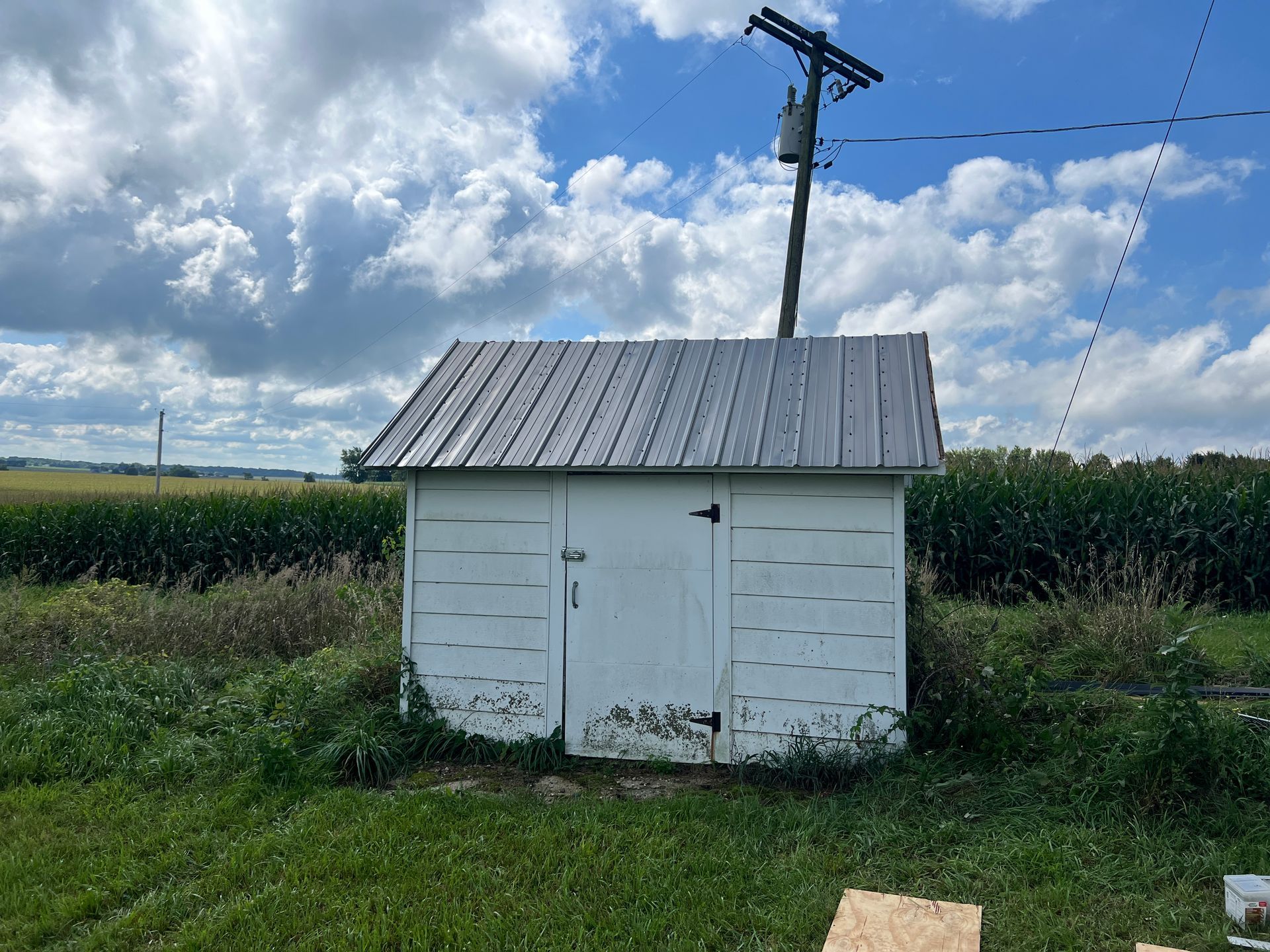 A small, white, weathered wooden shed with a dark metal roof, set in a green field with corn in the background.