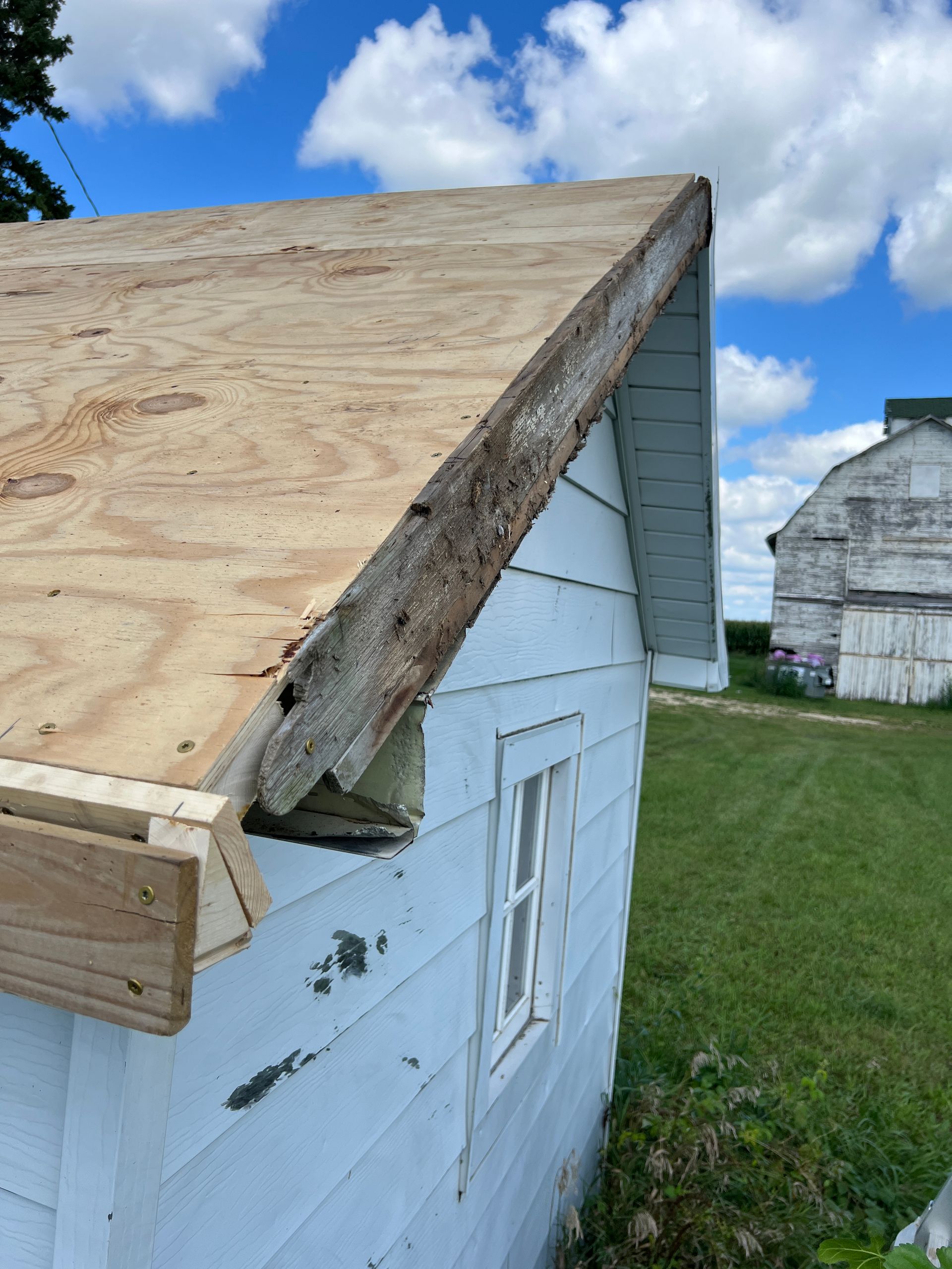 An old shed with a partially repaired roof, featuring new plywood sheathing and a fresh wooden fascia board.