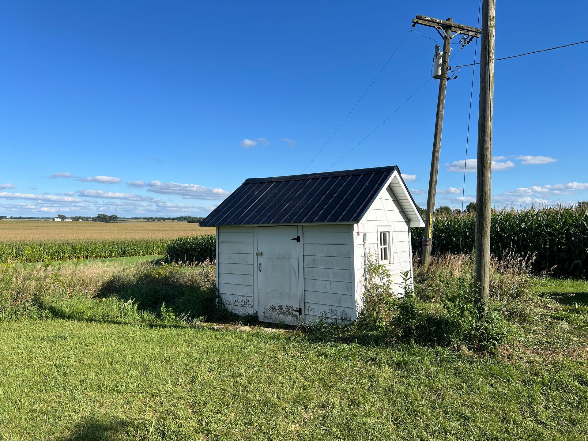 A small white shed with a black roof sits in a grassy field next to utility poles, with a cornfield in the background.