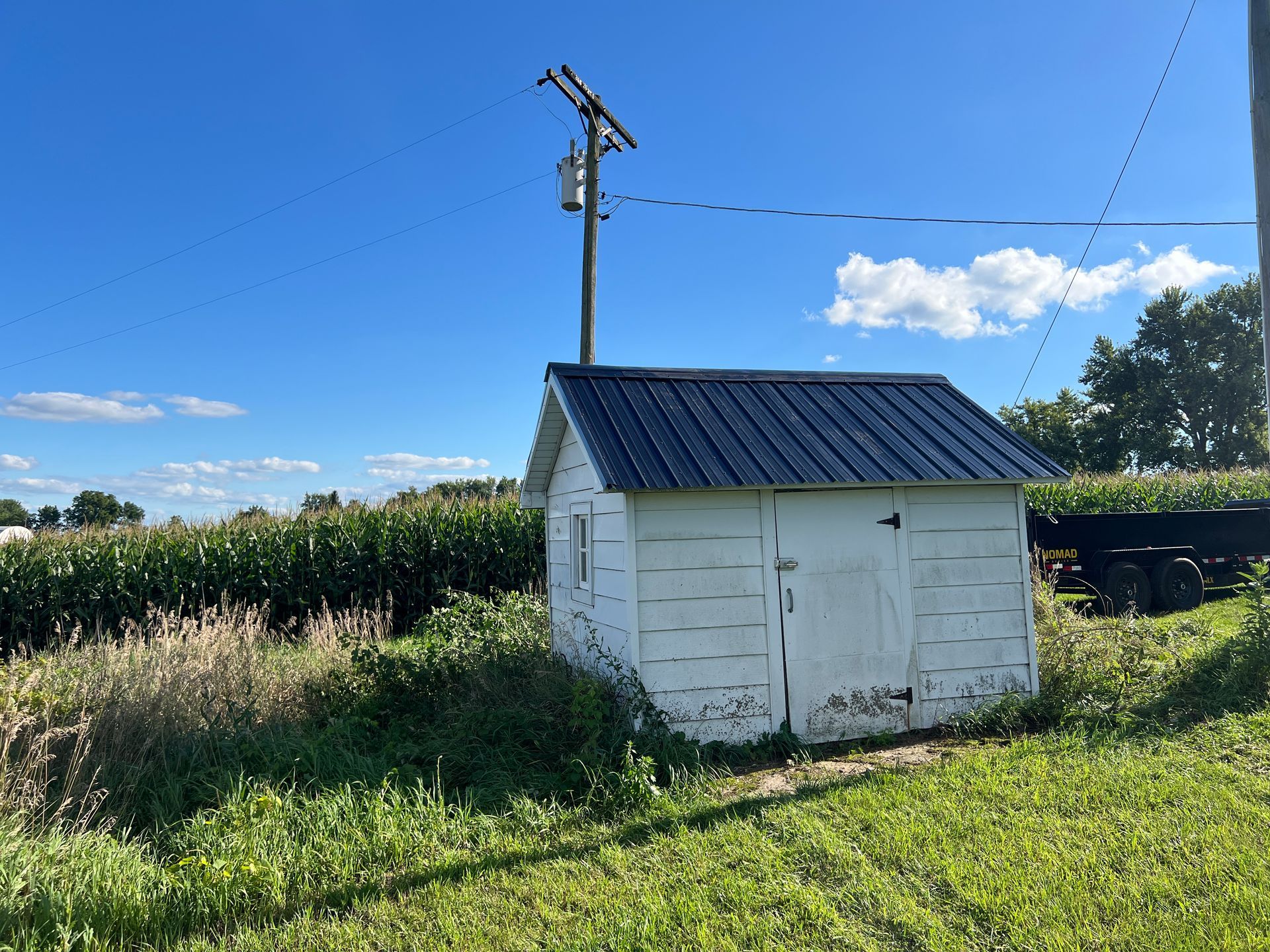 A small, white, weathered shed with a dark metal roof sits in a grassy field next to a tall cornfield under a blue sky.