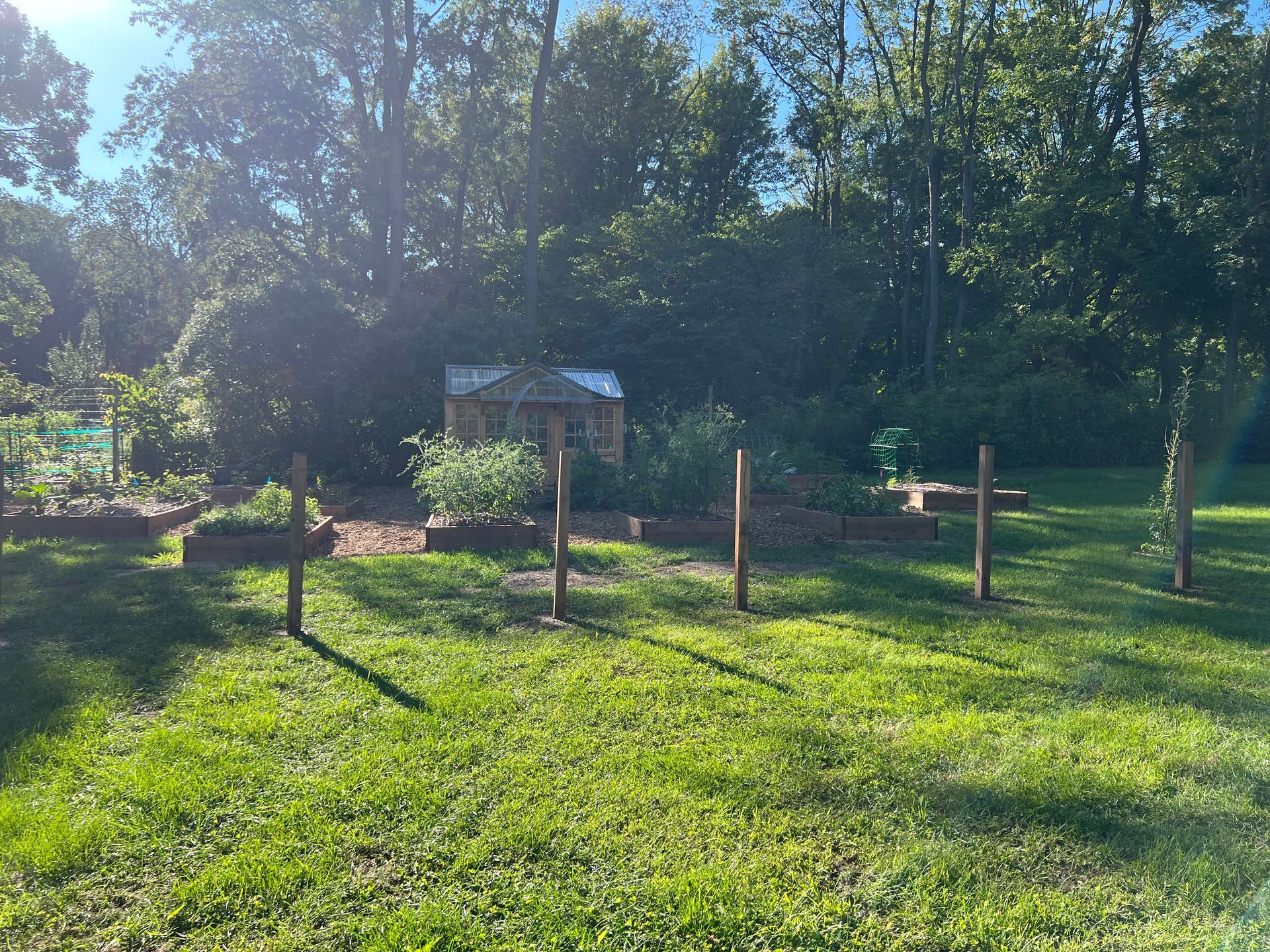 A wooden shed sits in a sunny backyard garden surrounded by trees, with wooden posts lining the foreground.