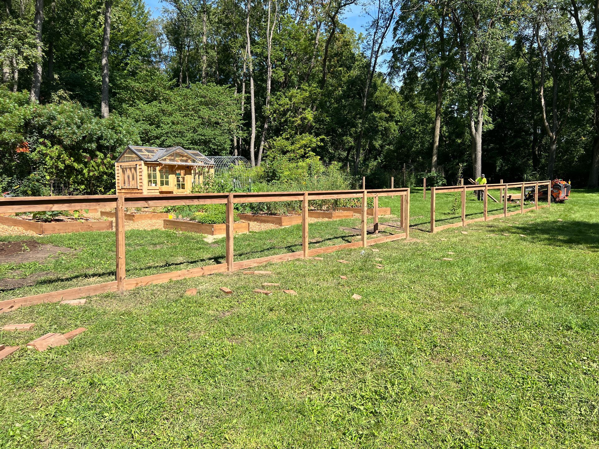 A fenced-in garden with raised beds and a small wooden shed, situated in a grassy backyard surrounded by mature trees.