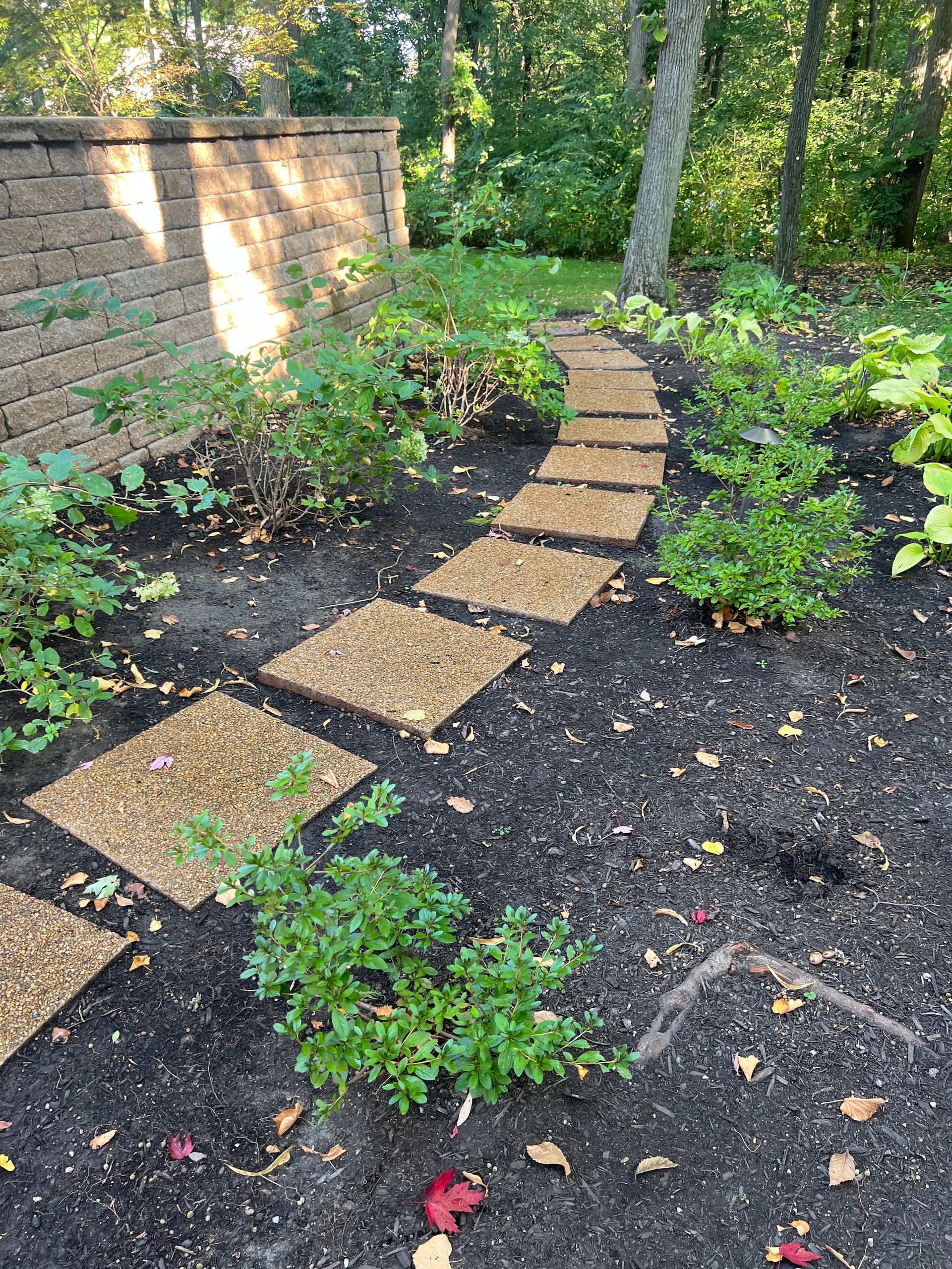 A curved path of square stone pavers set in dark mulch, bordered by a stone wall and small green shrubs in a garden.