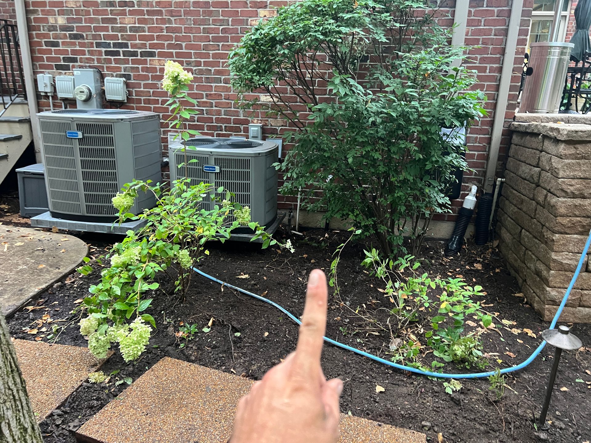 A hand points toward a garden bed with a hydrangea, a leafy shrub, and a blue hose in front of two HVAC units.