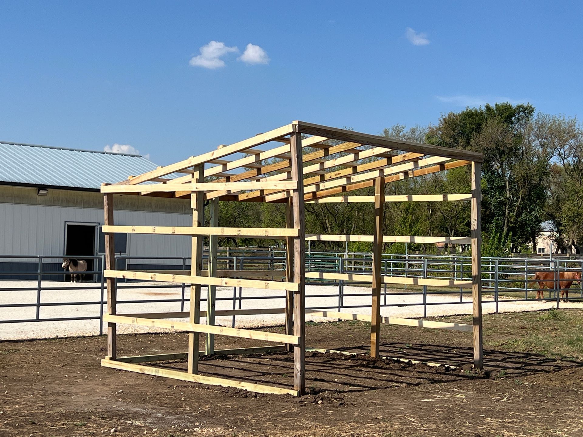 A wooden, open-sided shed frame stands in an outdoor equestrian area under a clear blue sky.