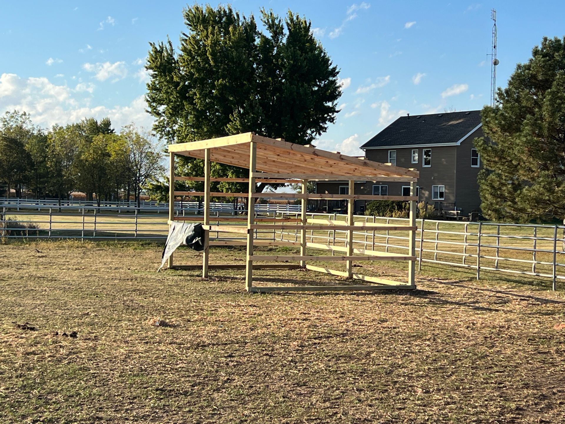 A partially constructed wooden lean-to shelter stands in a large, sunny field next to a house and trees.