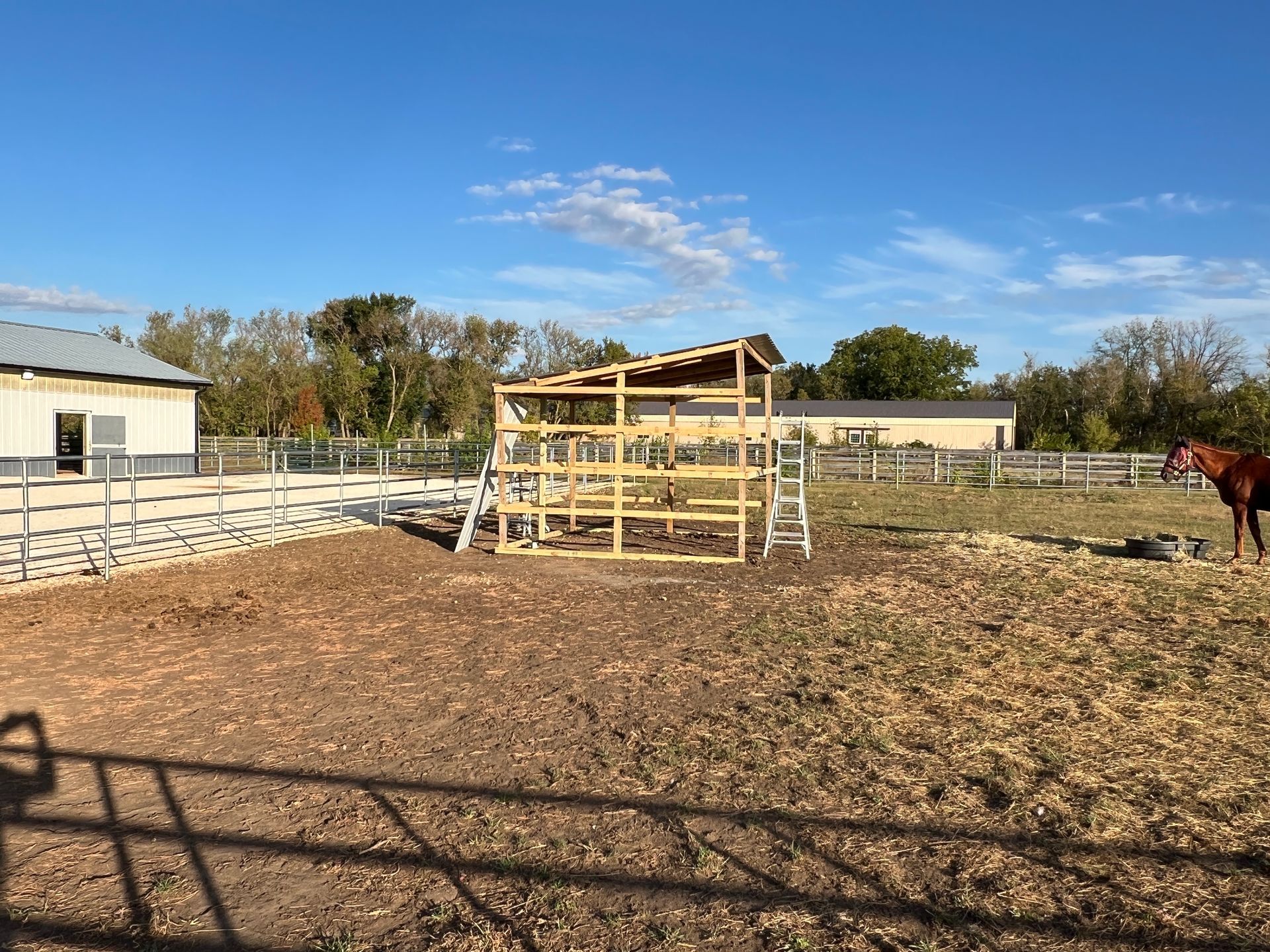 A partially built wooden lean-to structure stands in a sunny, dirt-covered horse paddock with a horse visible on the right.
