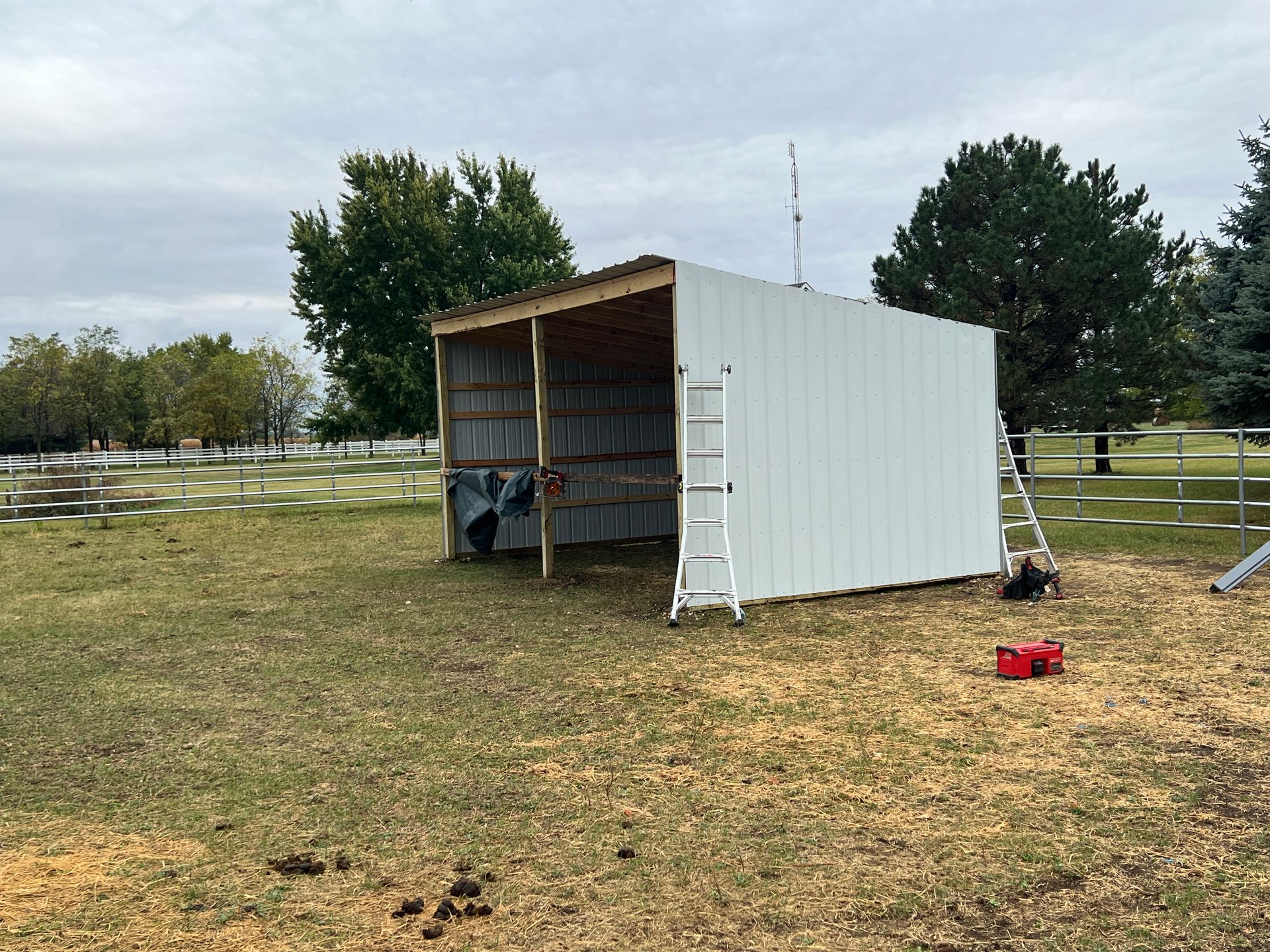 A partially constructed white metal shed stands in a grassy field with a ladder leaning against its side.