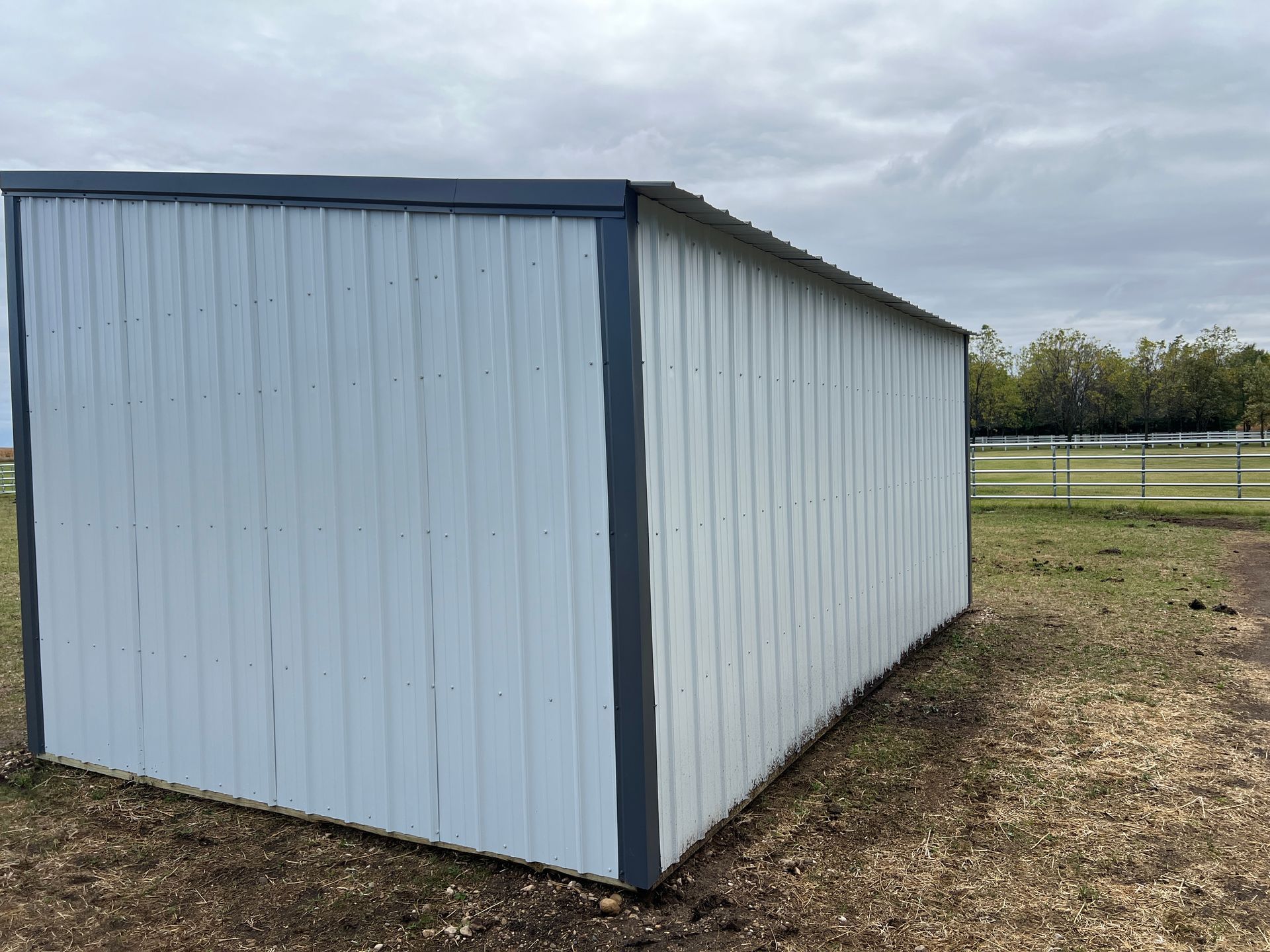A white metal shed with dark grey trim stands in a grassy field under a cloudy sky.