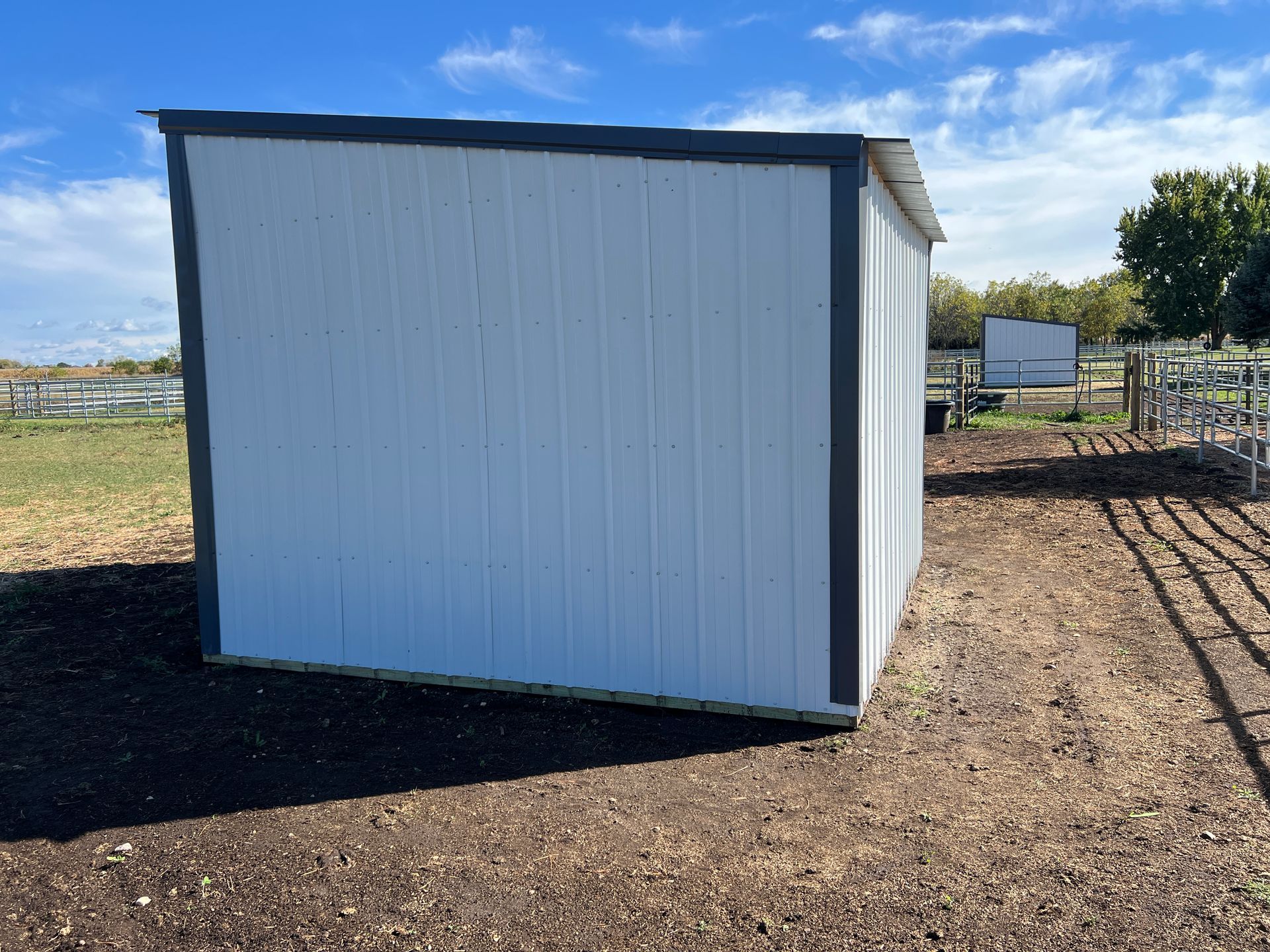 A white, rectangular shed with dark trim sitting in a dirt field under a sunny blue sky.