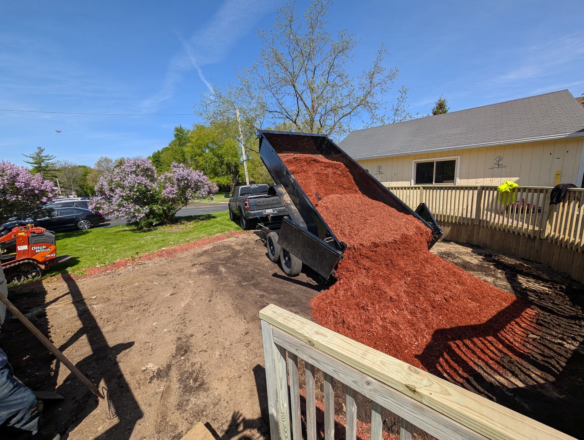 A dump trailer unloading a pile of red mulch in a backyard near a deck and blooming lilac bushes.